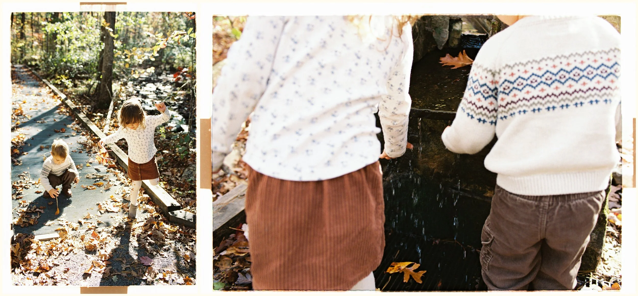 hiking with kids in virginia