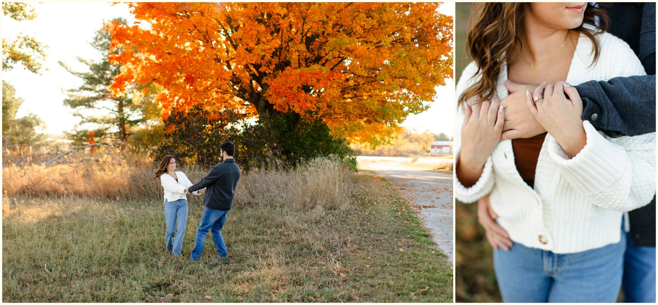 northern michigan fall proposal