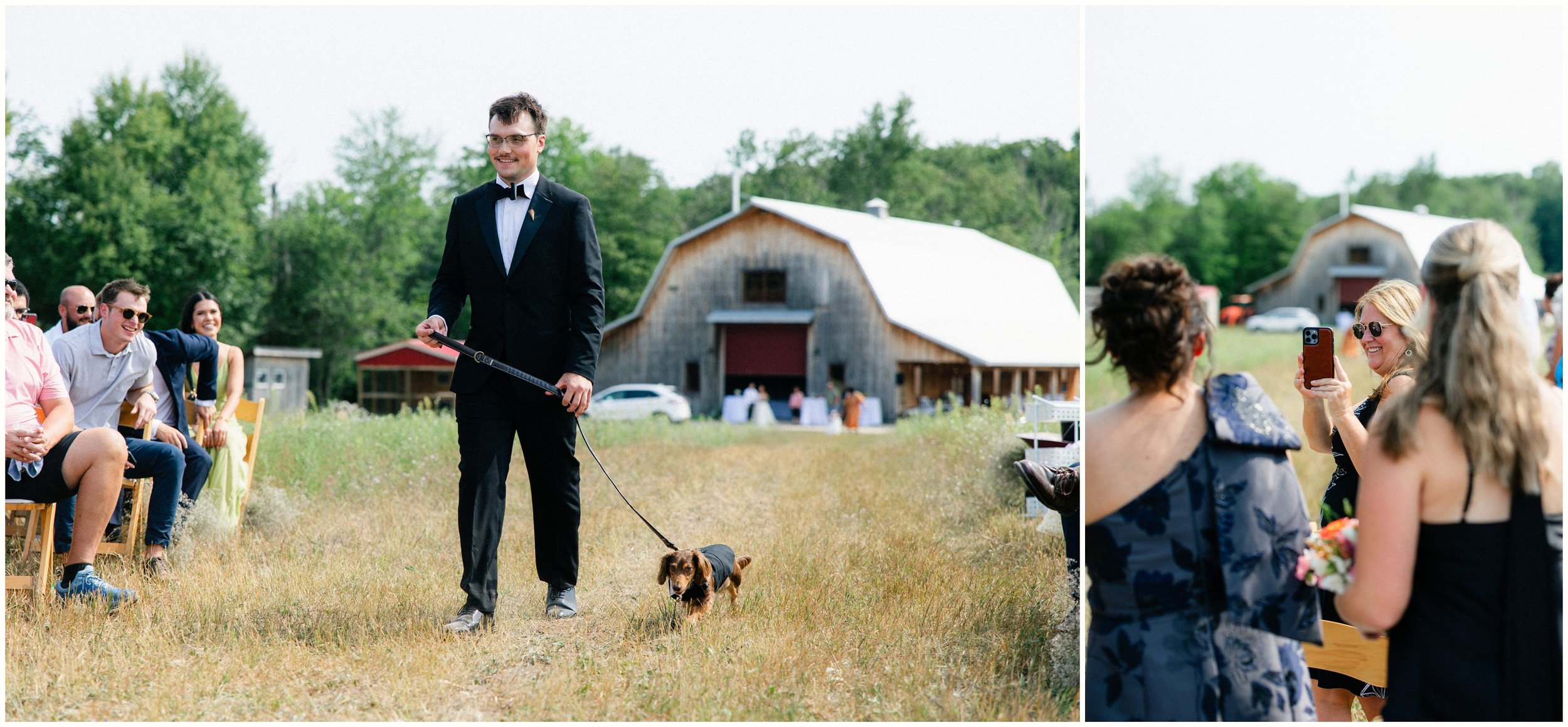 Bride and Groom dog