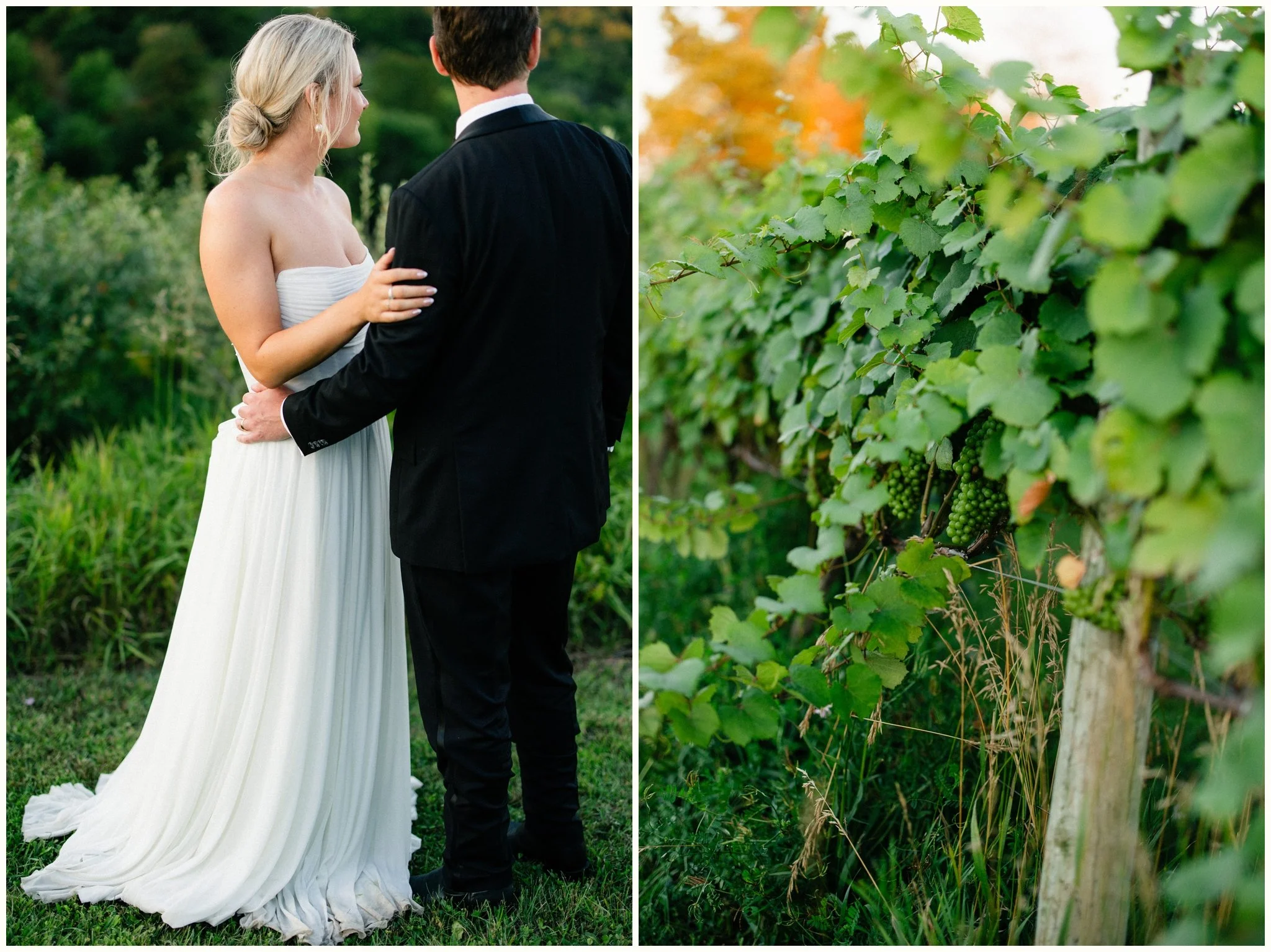 northern michigan vineyard wedding