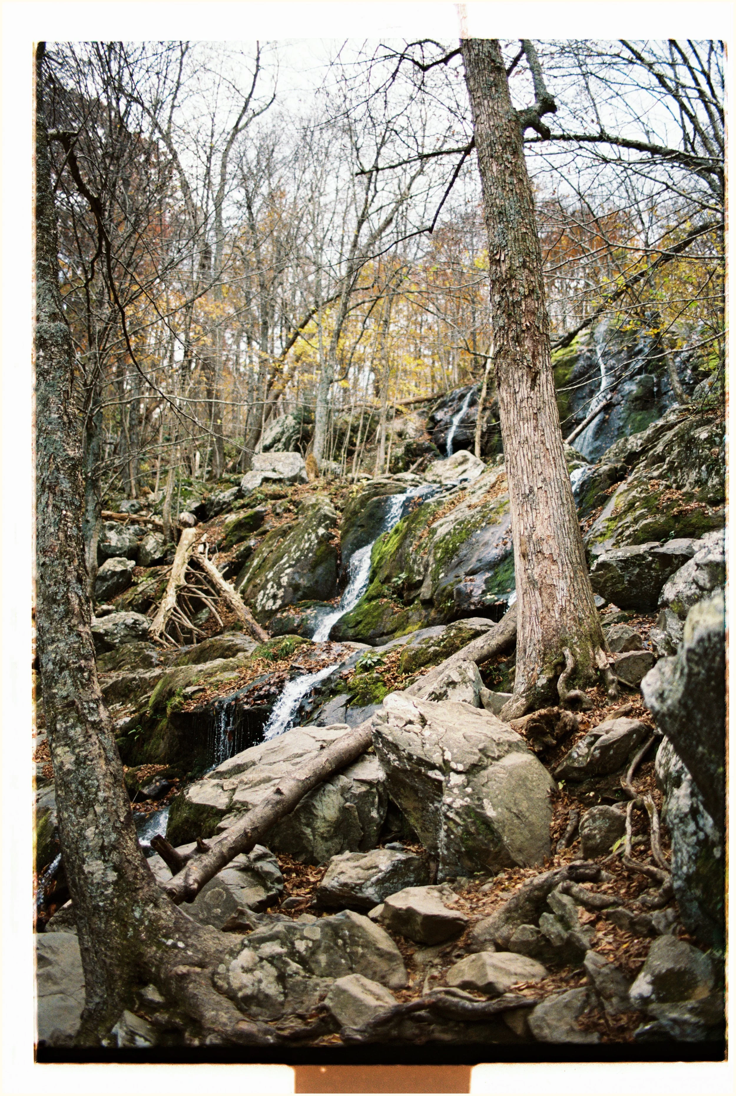 Shenandoah Family Vacation