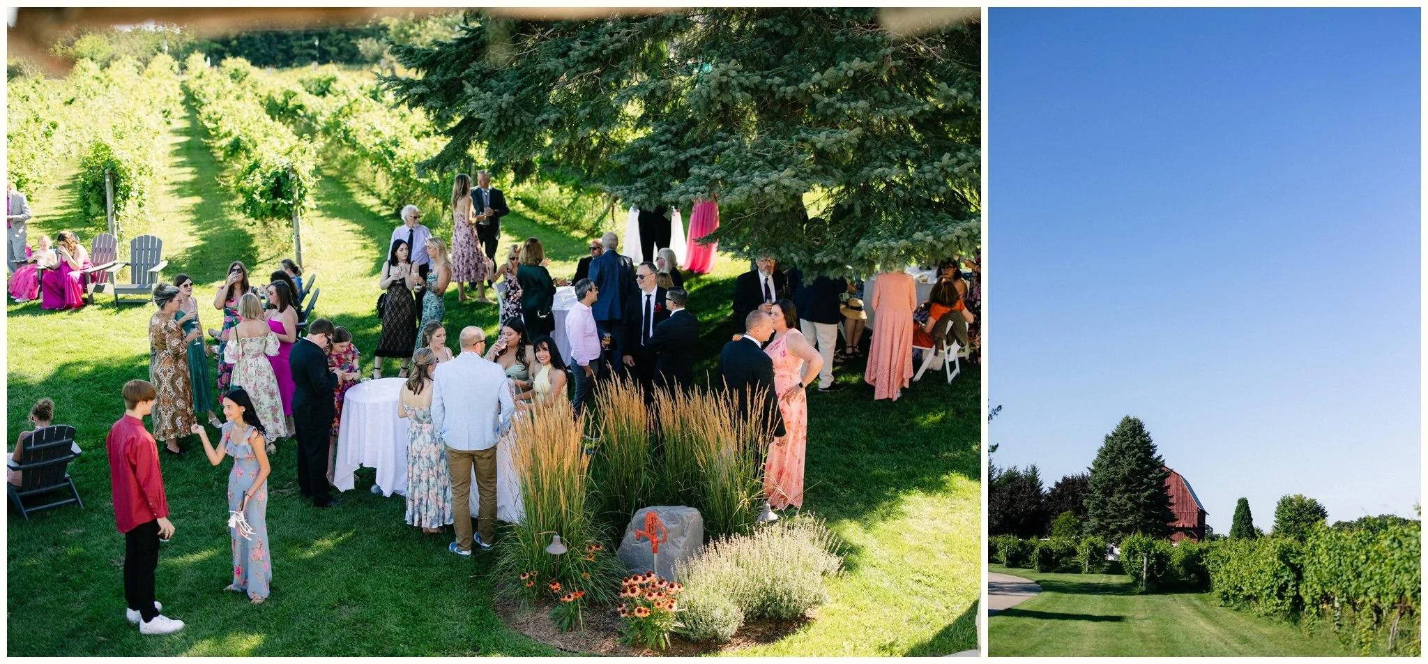 ciccone vineyards wedding