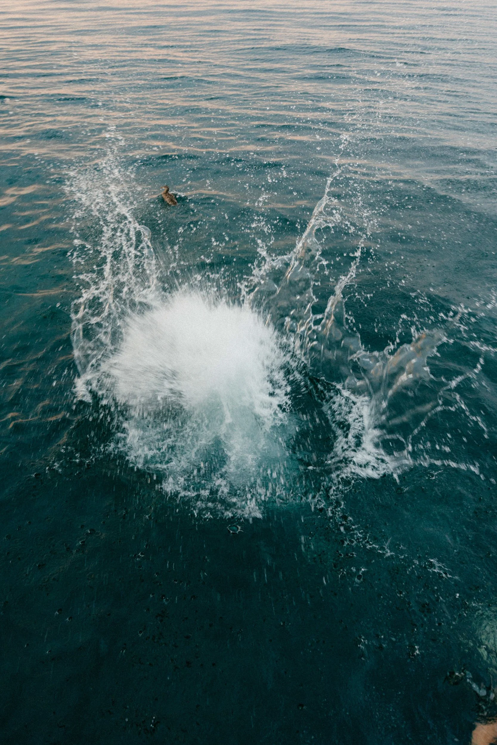 Pier Jump at a wedding
