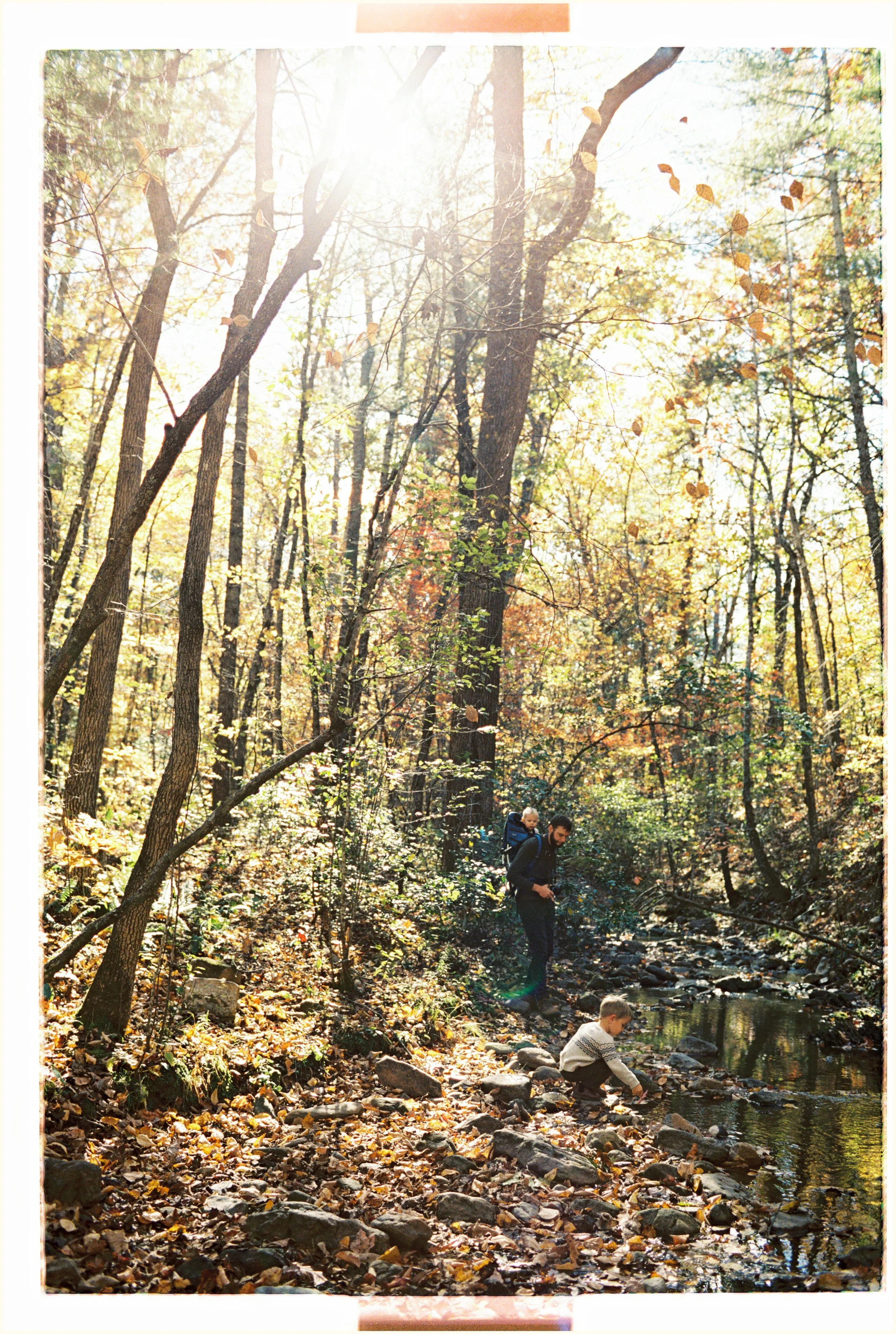 October Virginia film photography