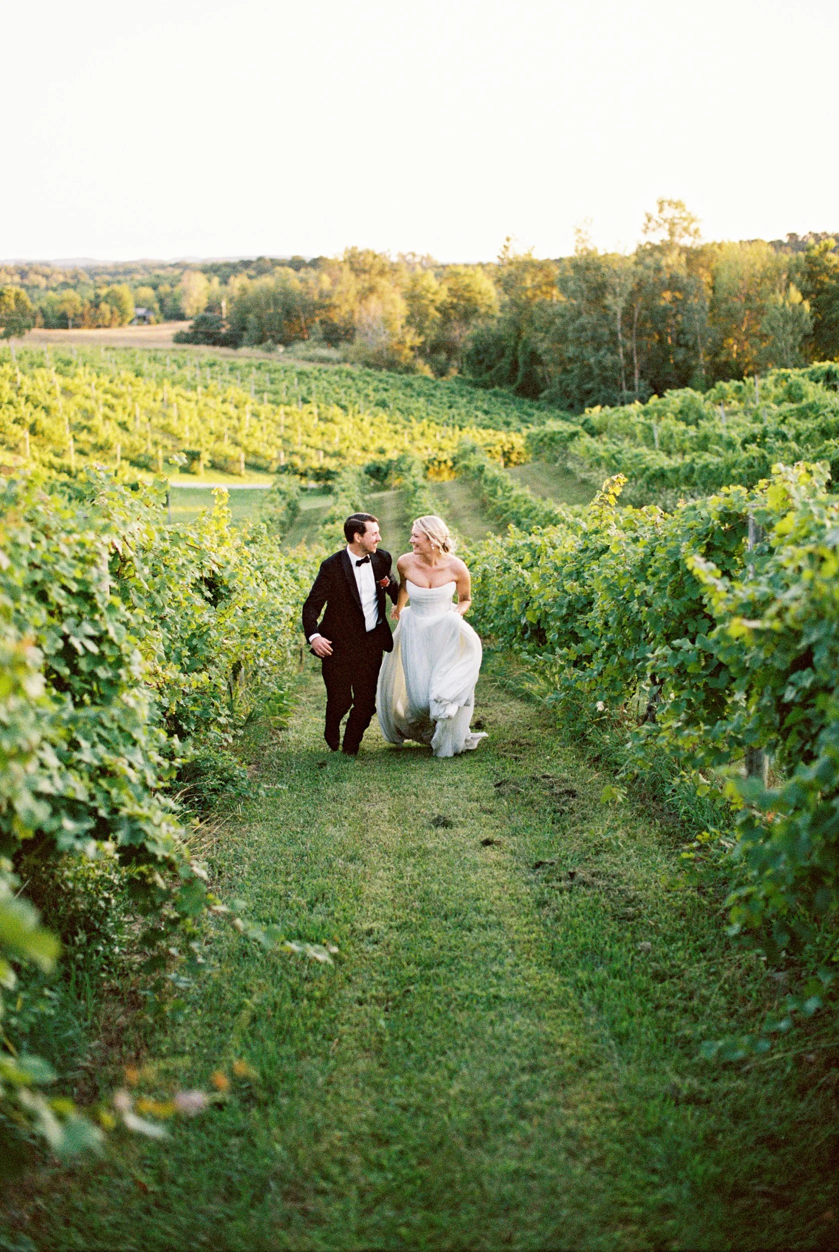 vineyard wedding