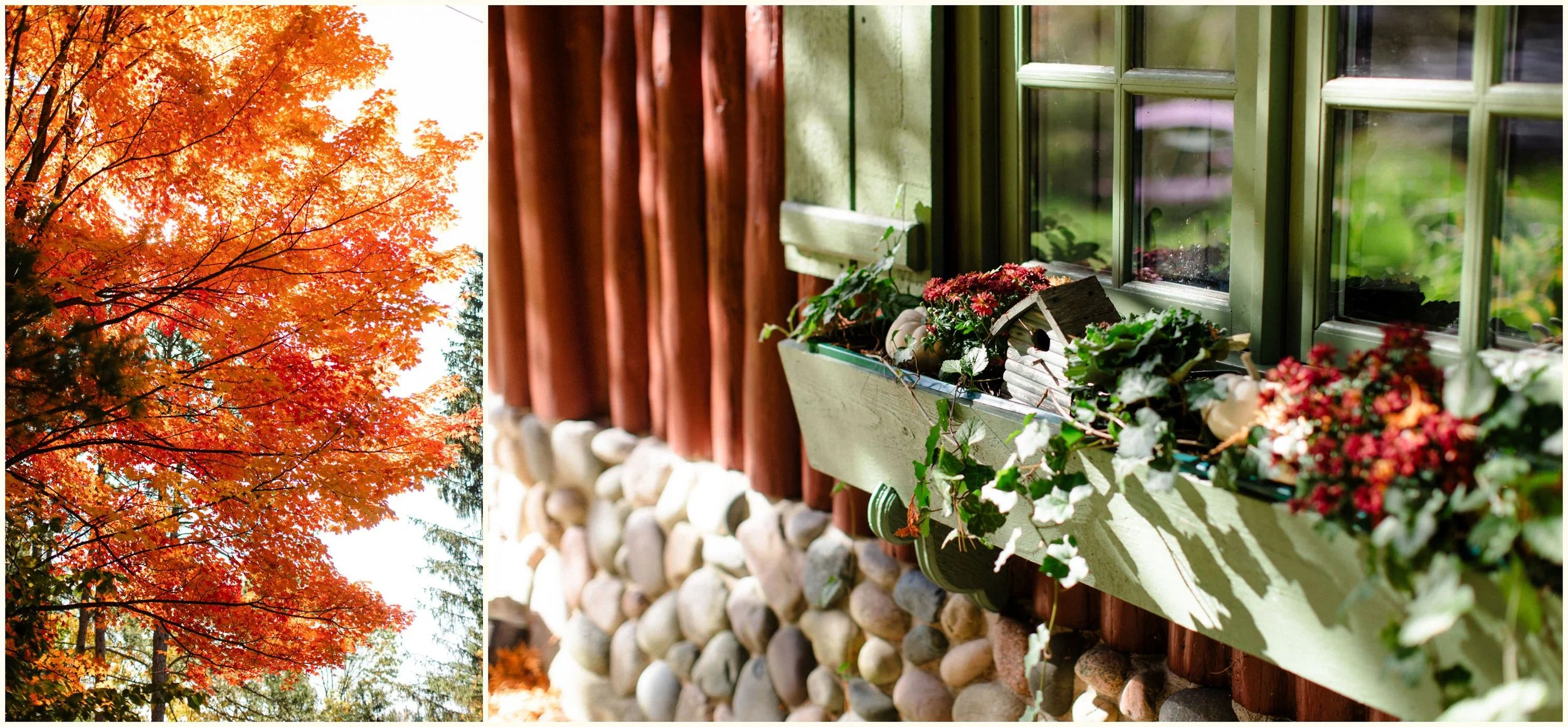 traverse city cottage wedding