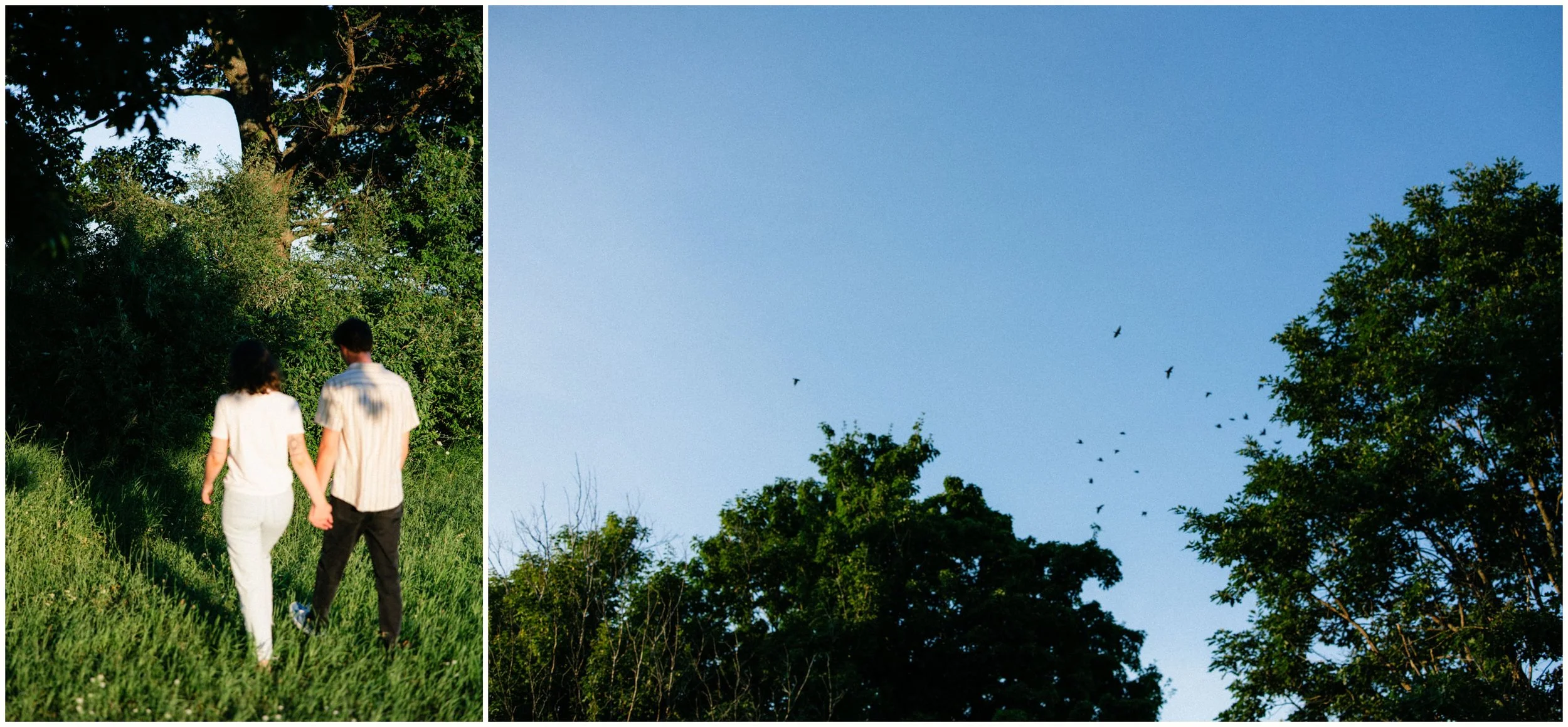 northern michigan summer engagement