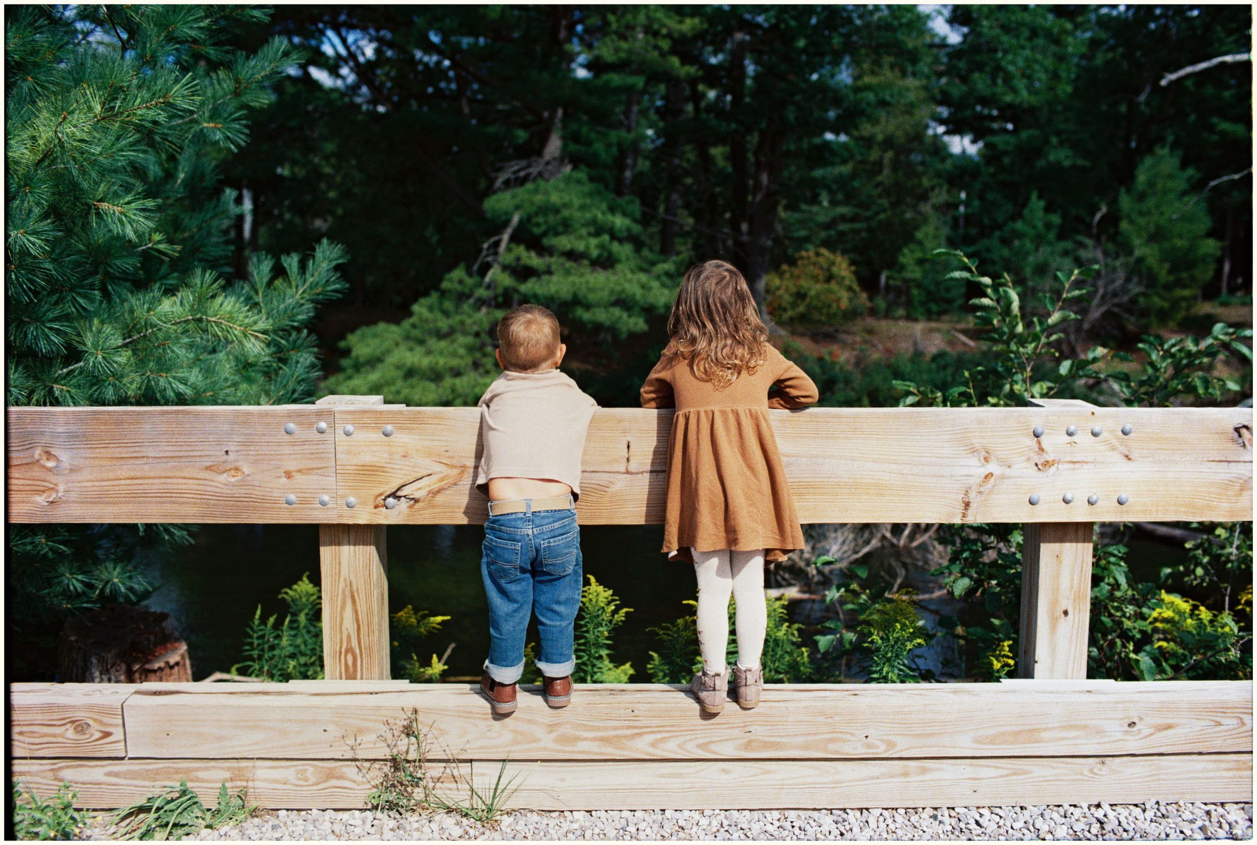 35mm family portraits