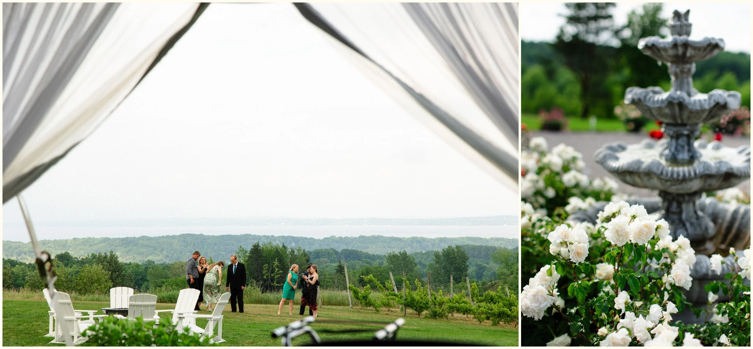 northern michigan wedding venue