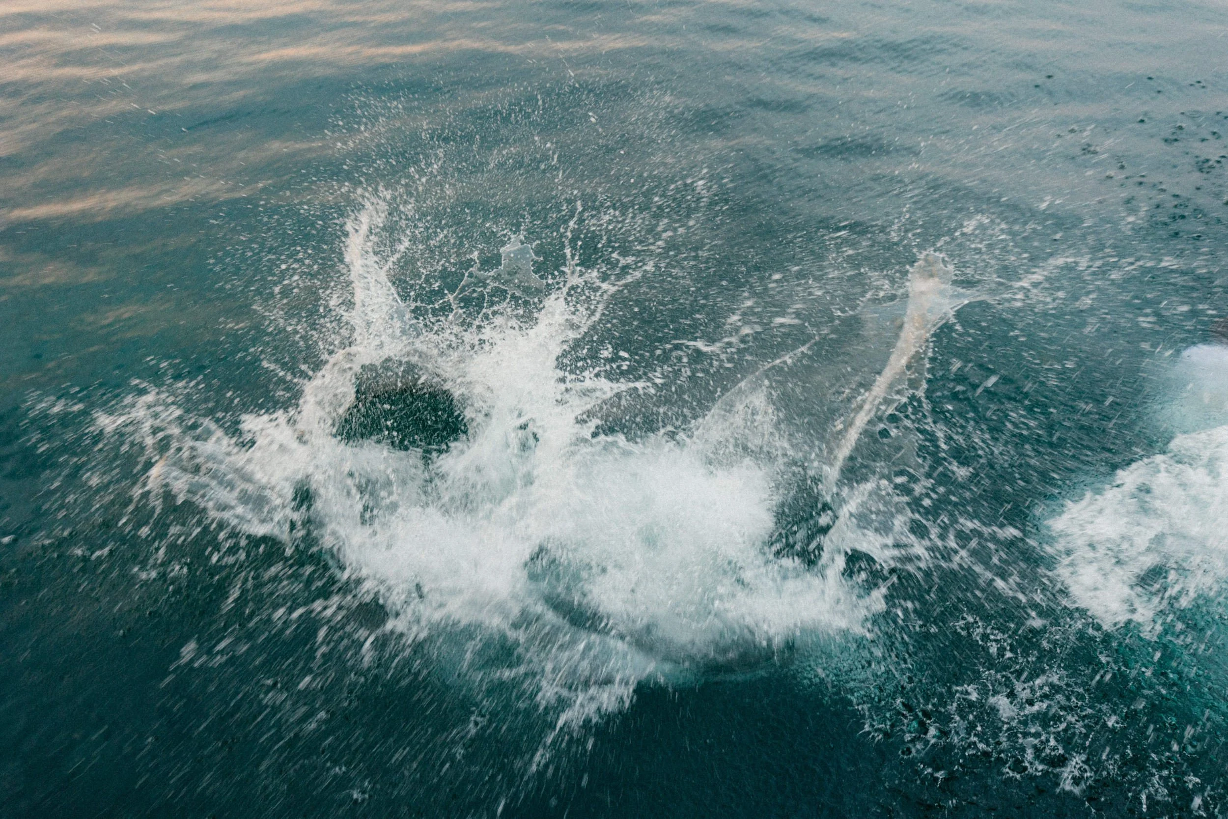 Traverse city Wedding