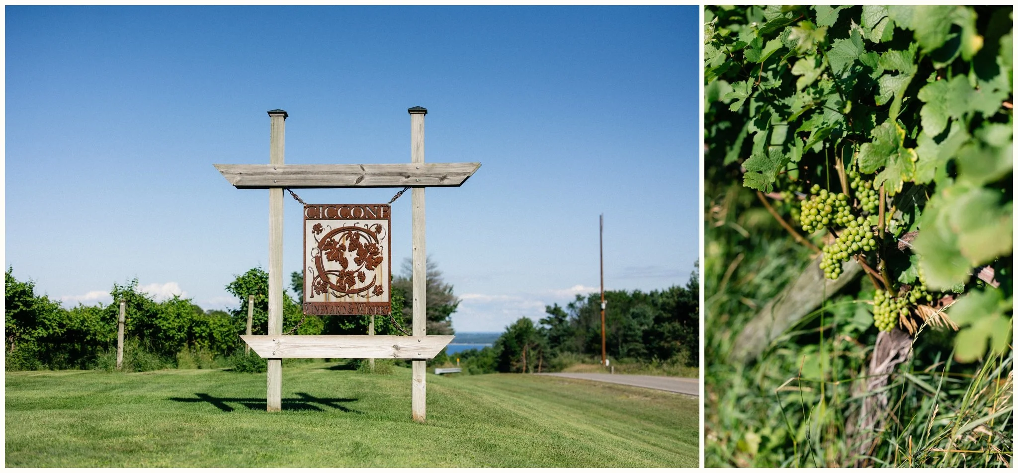 Ciccone Vineyard Wedding