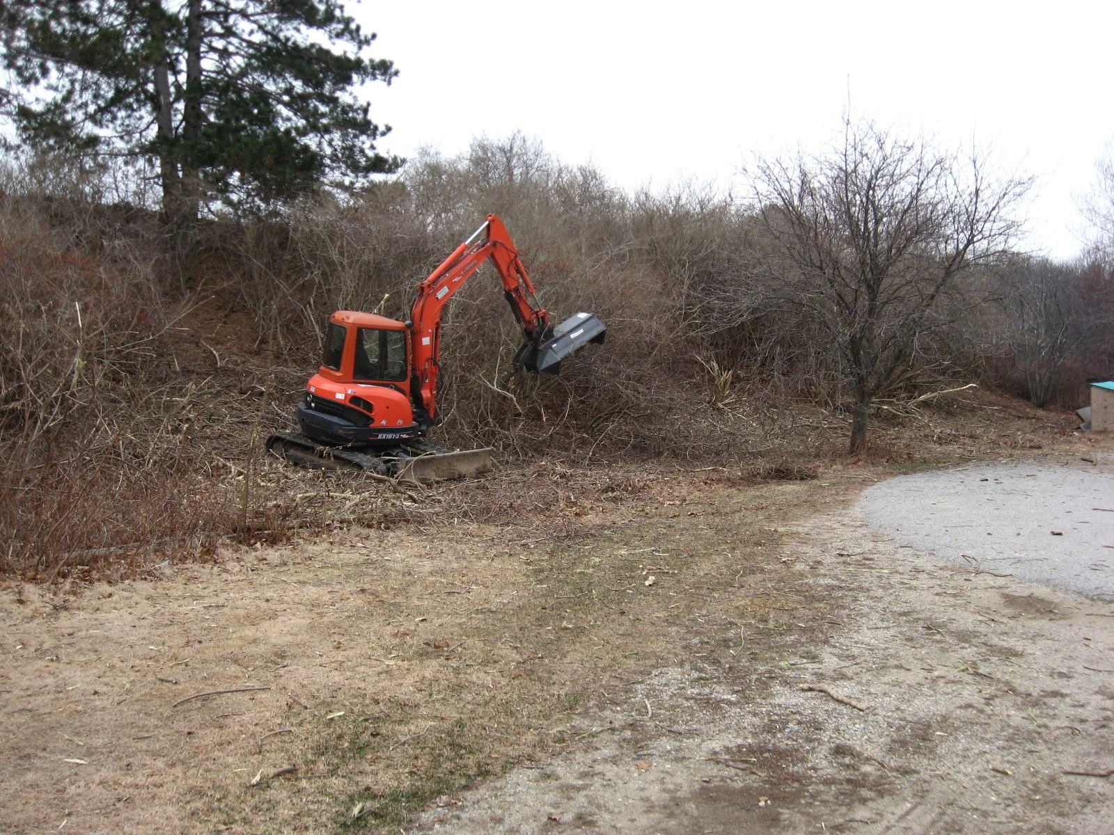 2010-Restoration Initiated