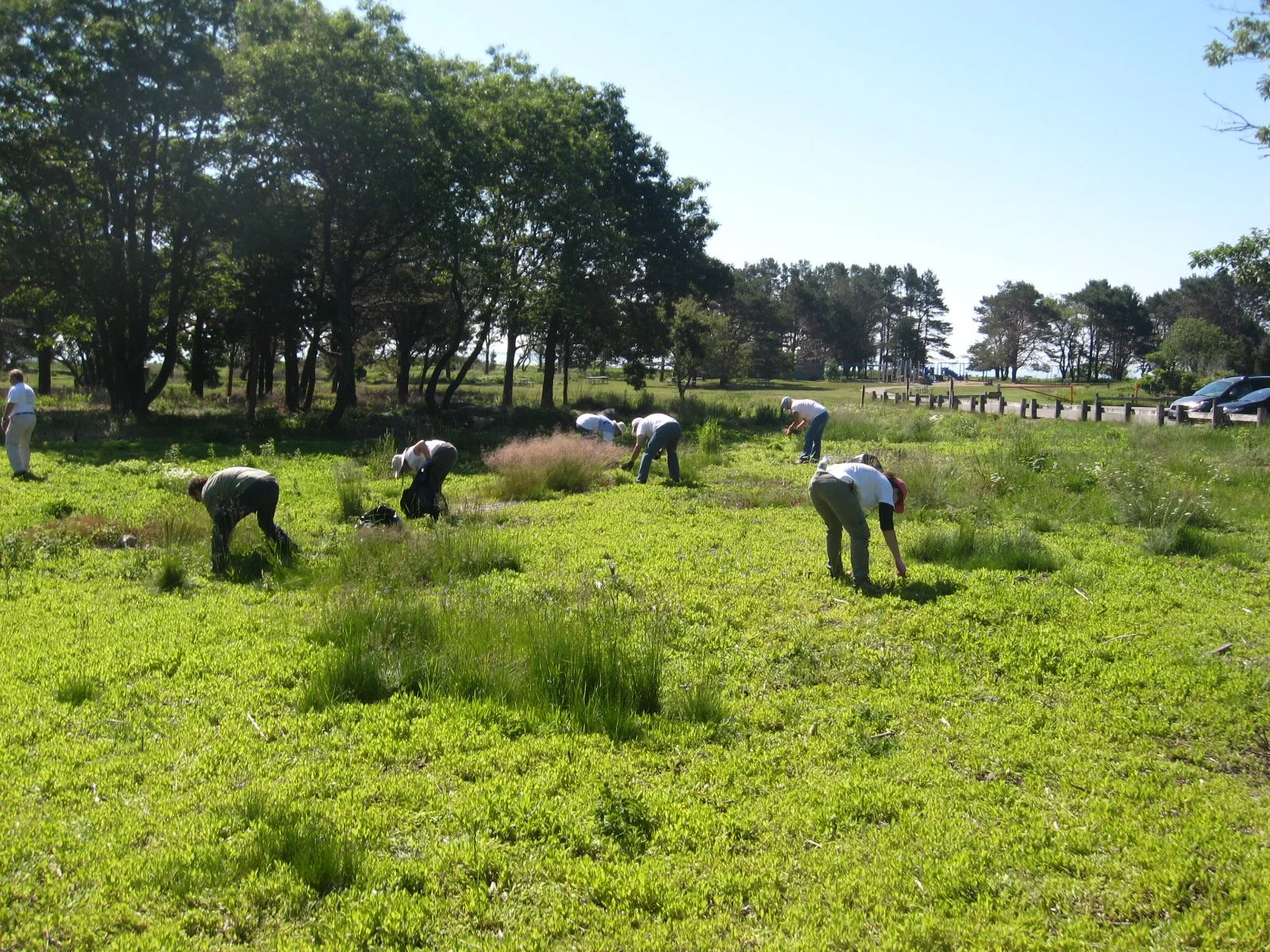 2013-Restoration Underway