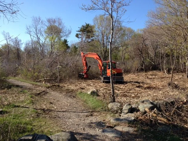 2015-Restoration Ongoing