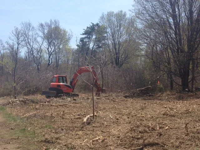 2015-Restoration Ongoing