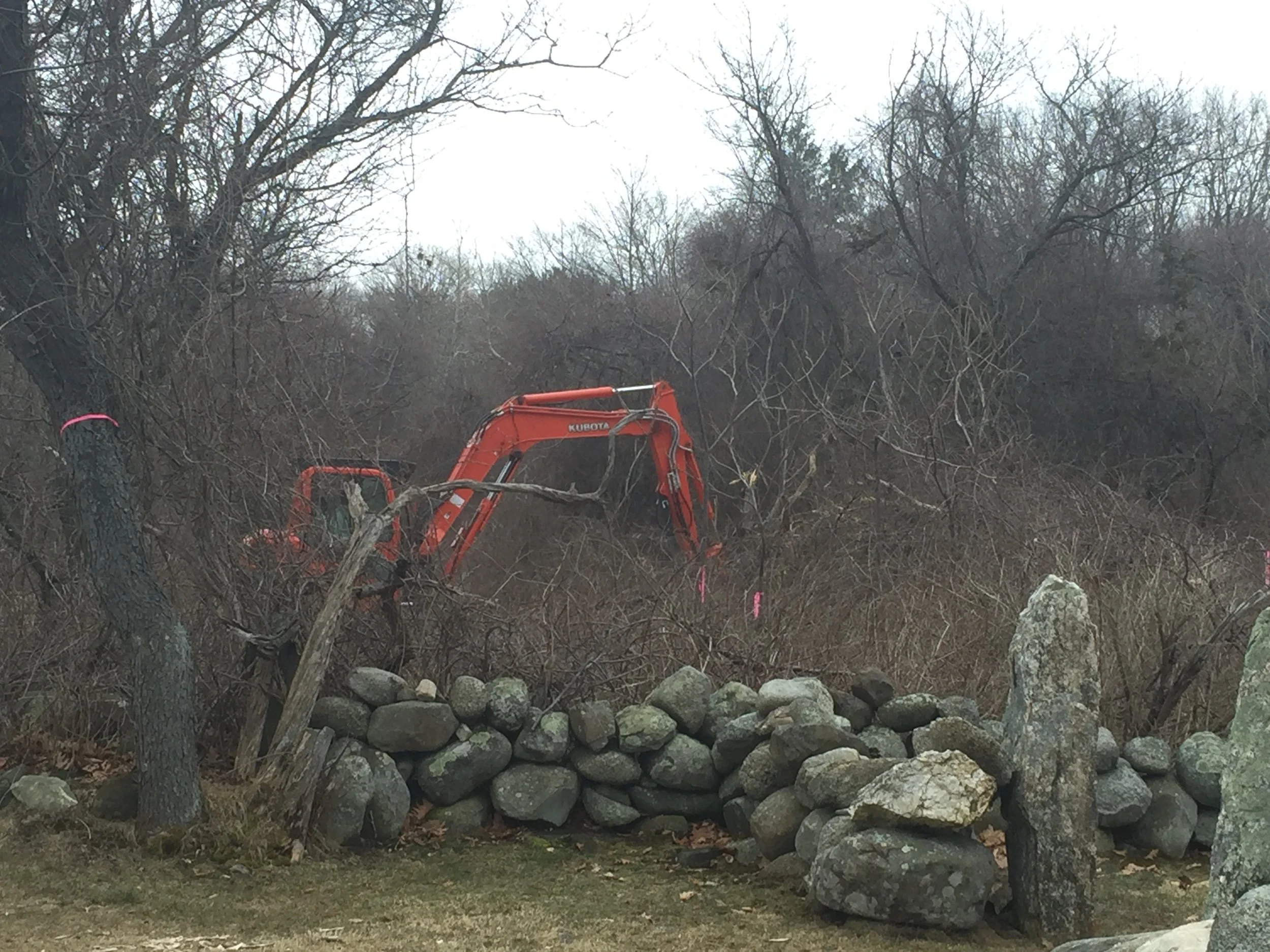 2016-Restoration Initiated