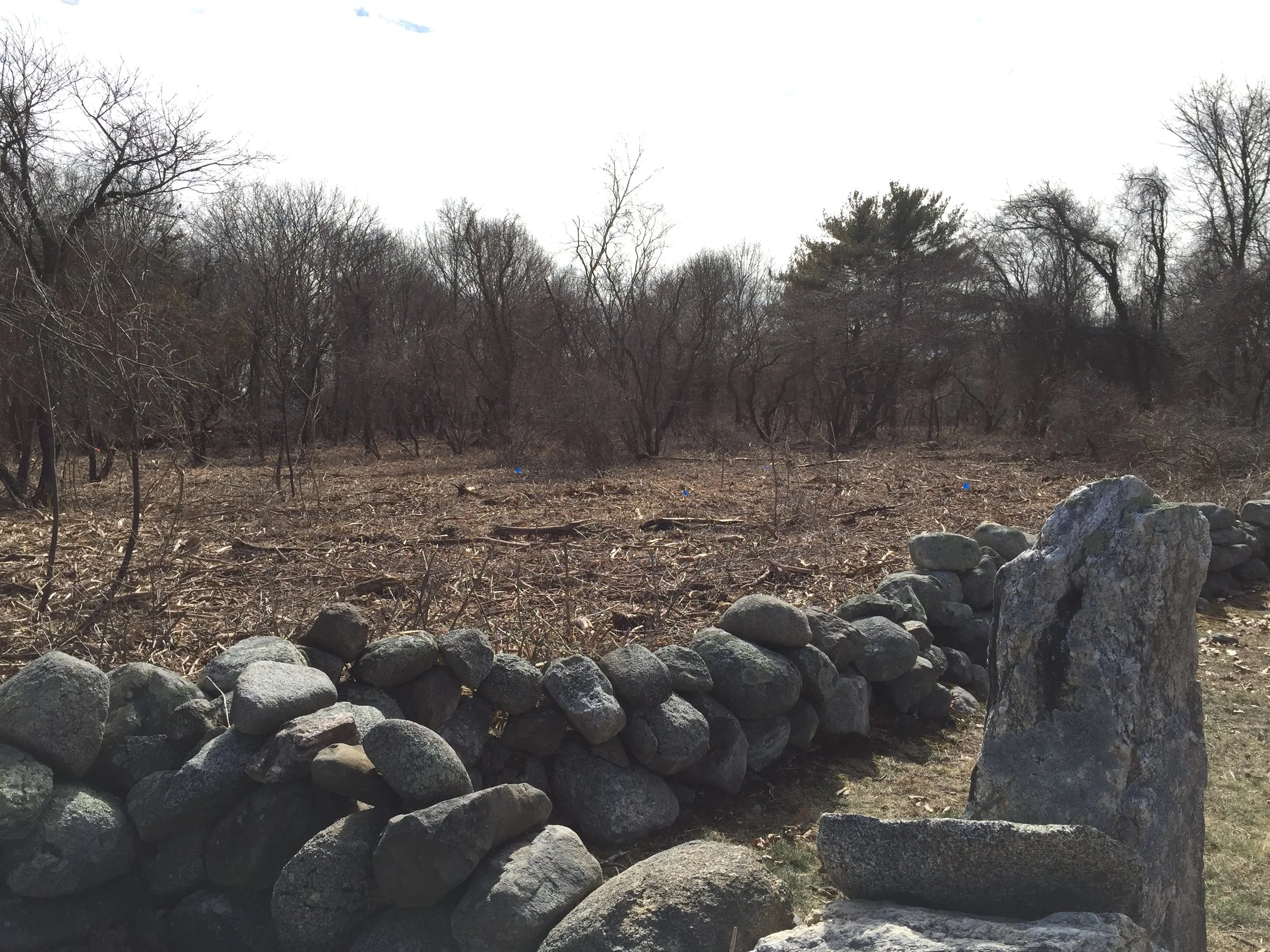 2016-Restoration Ongoing