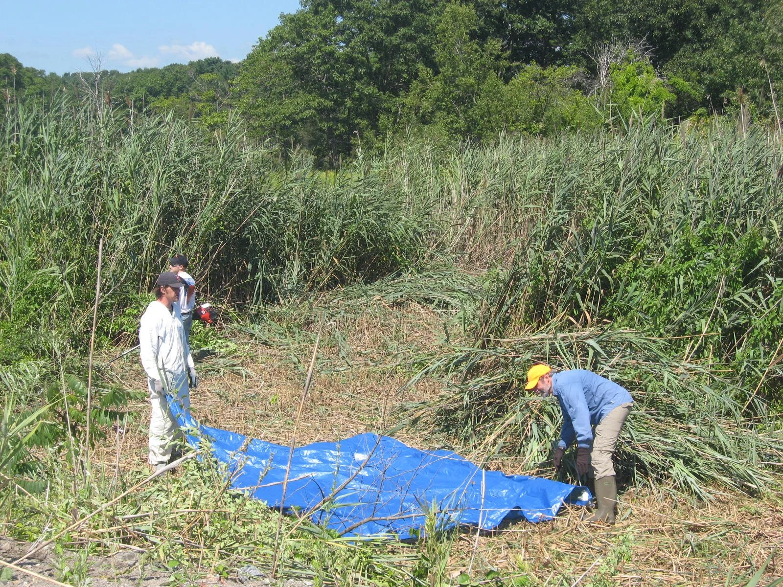 2010-Restoration Intitiated