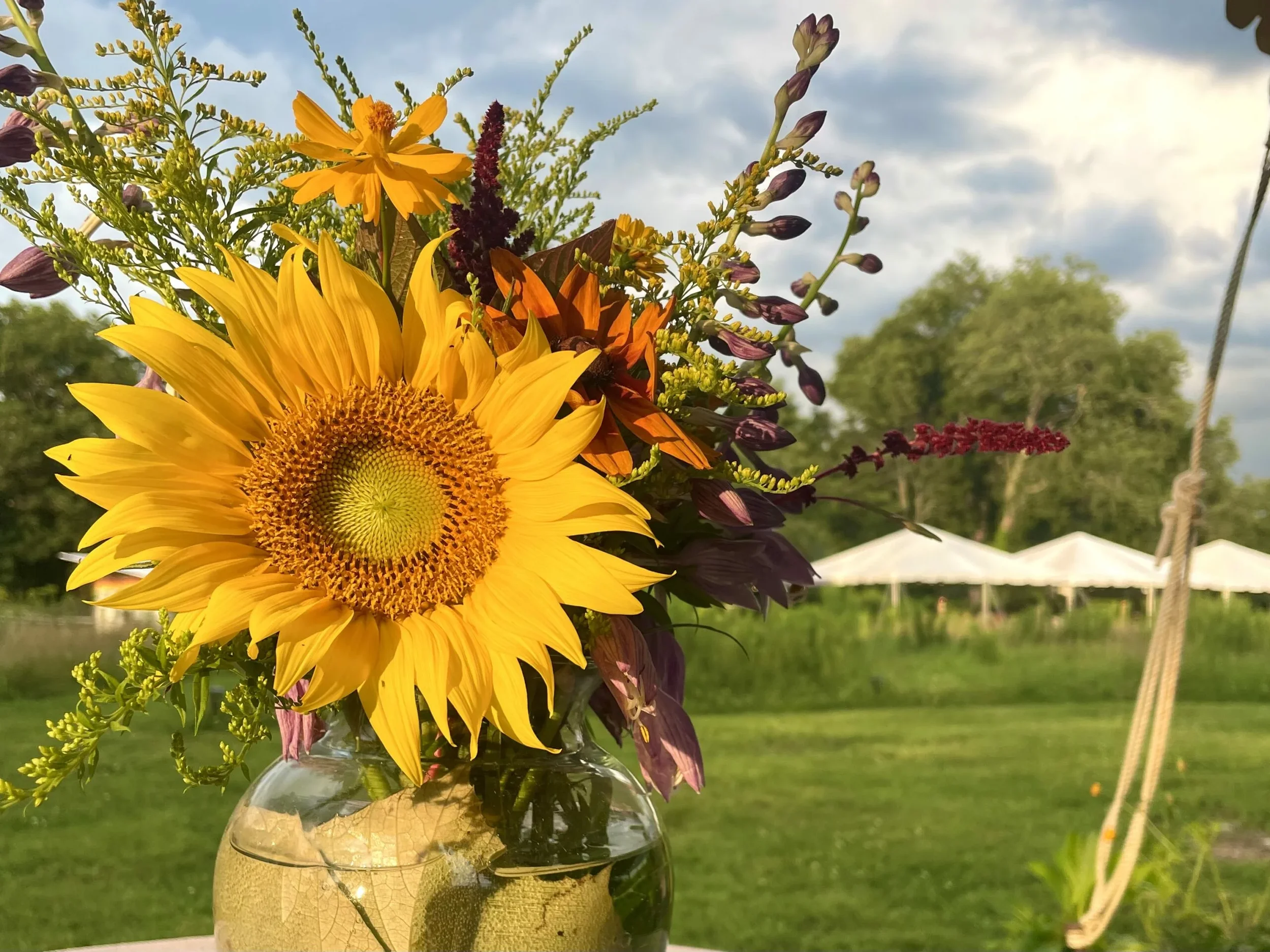 Agroforestry Workshop, Dandelion Forest Farm