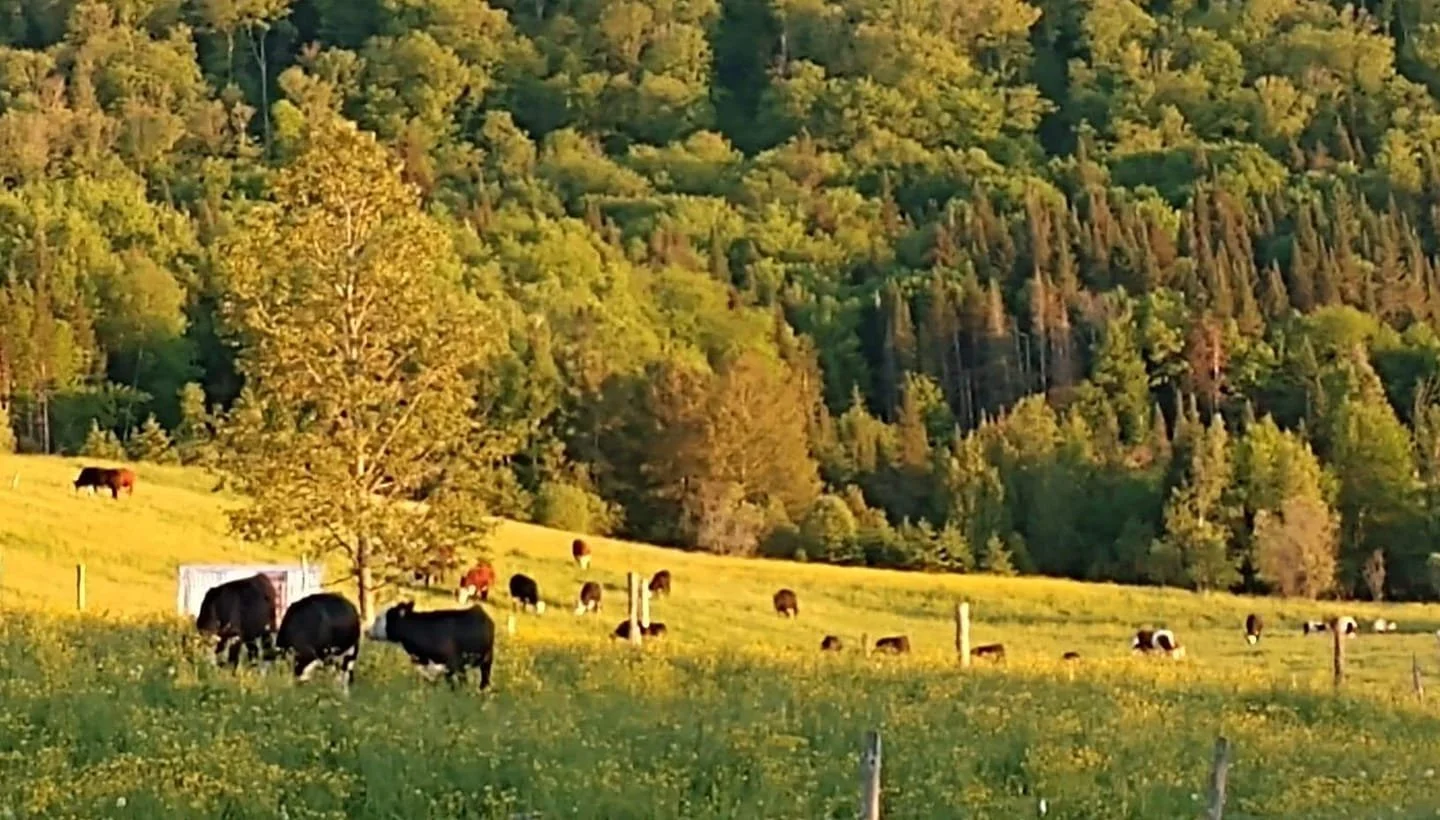 Robinson Family Farm.jpg