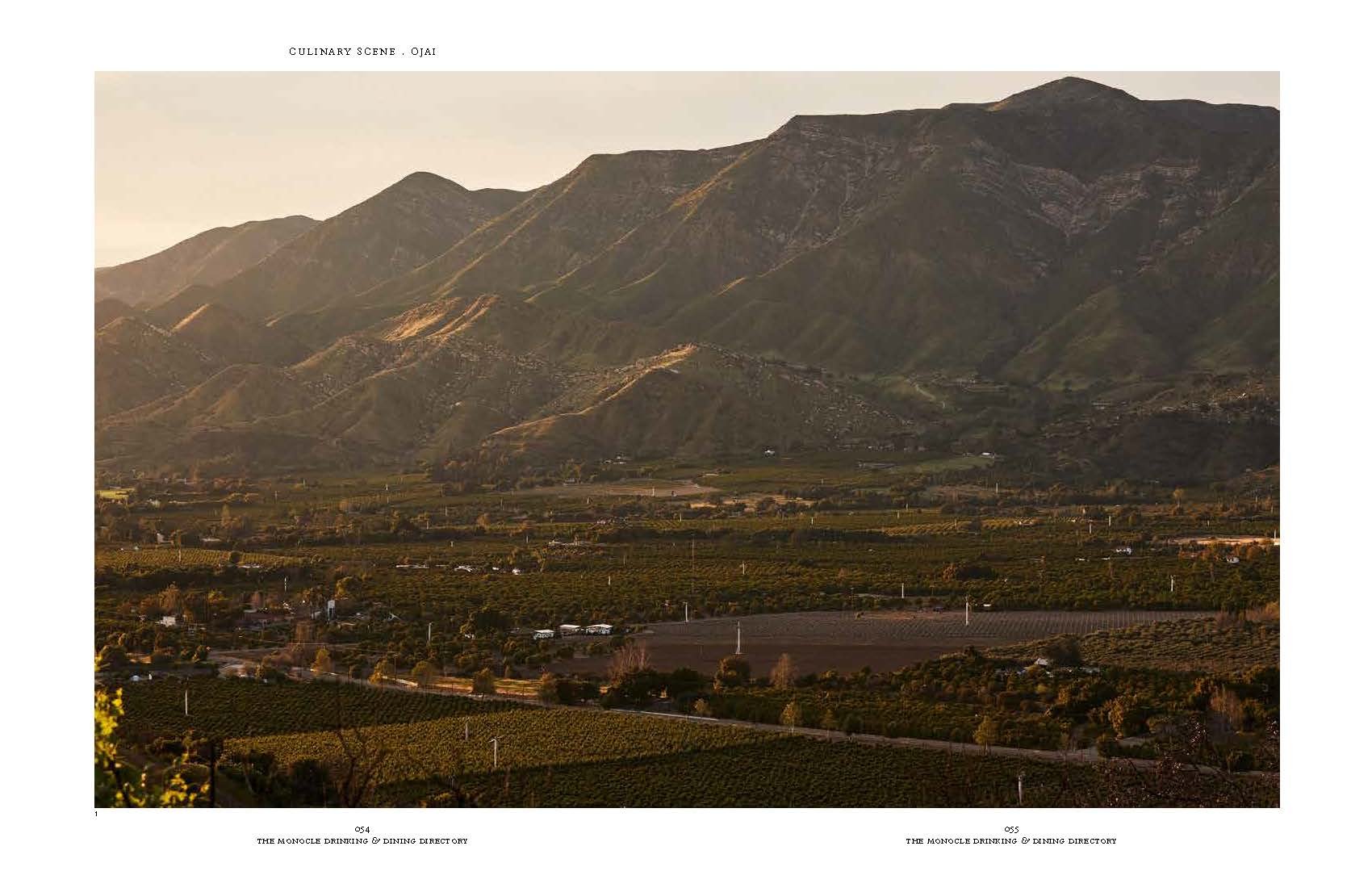 VC_NYT Portfolio_V2_Page_17.jpg