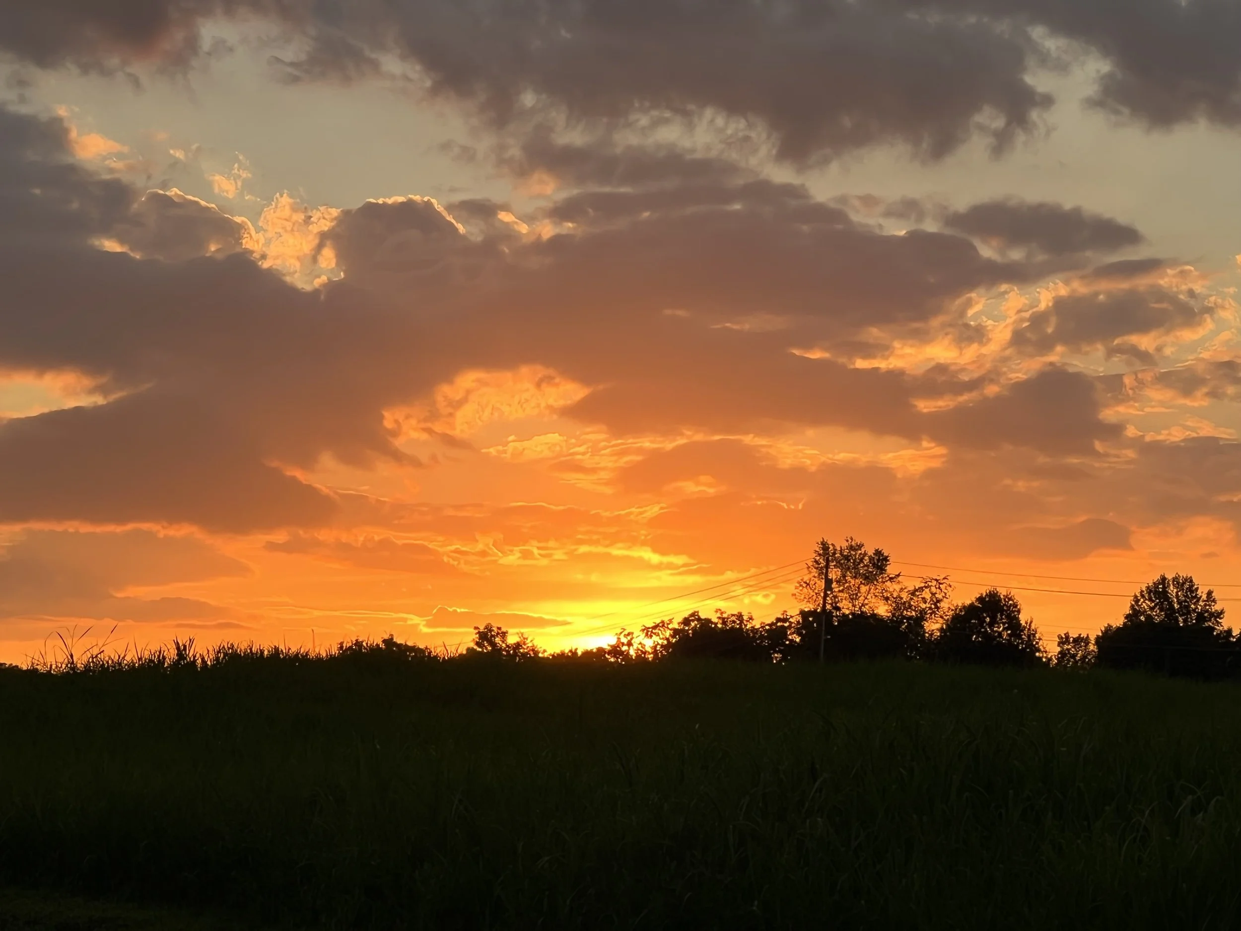 Self Sufficiency Versus Synergy