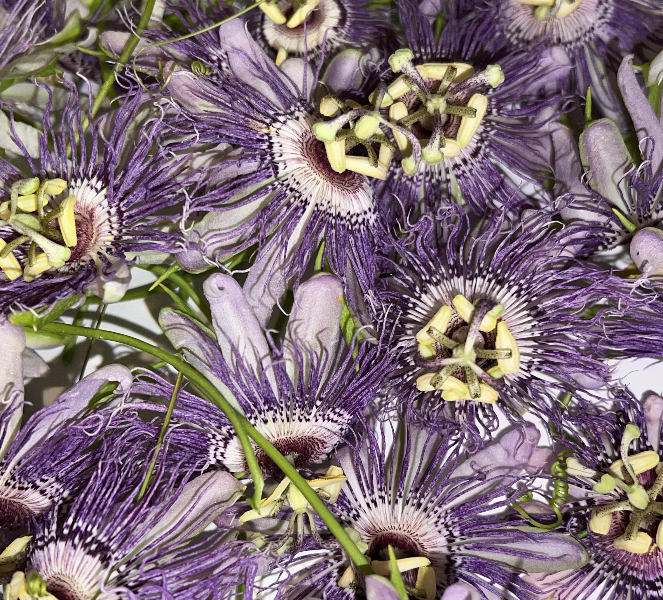 If Your Nose Is To The Grindstone, You Had Best Keep Your Head on A Swivel And Watch Your Ass