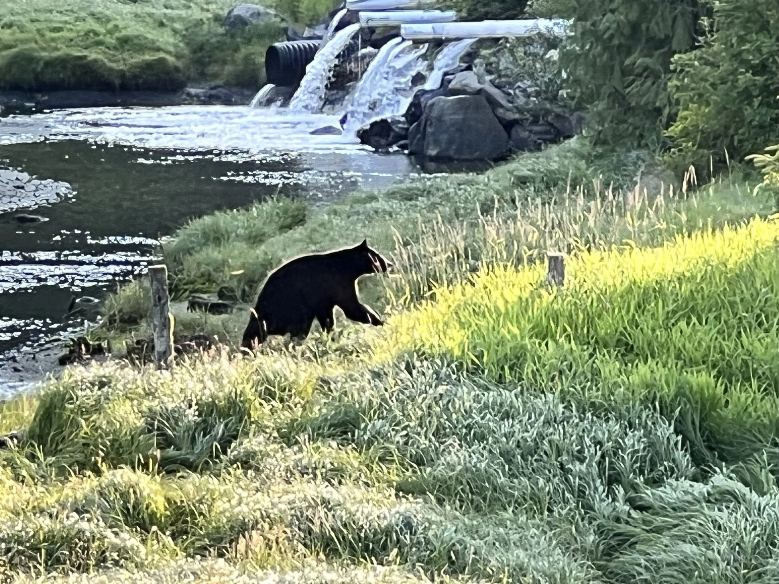 Back in the saddle again