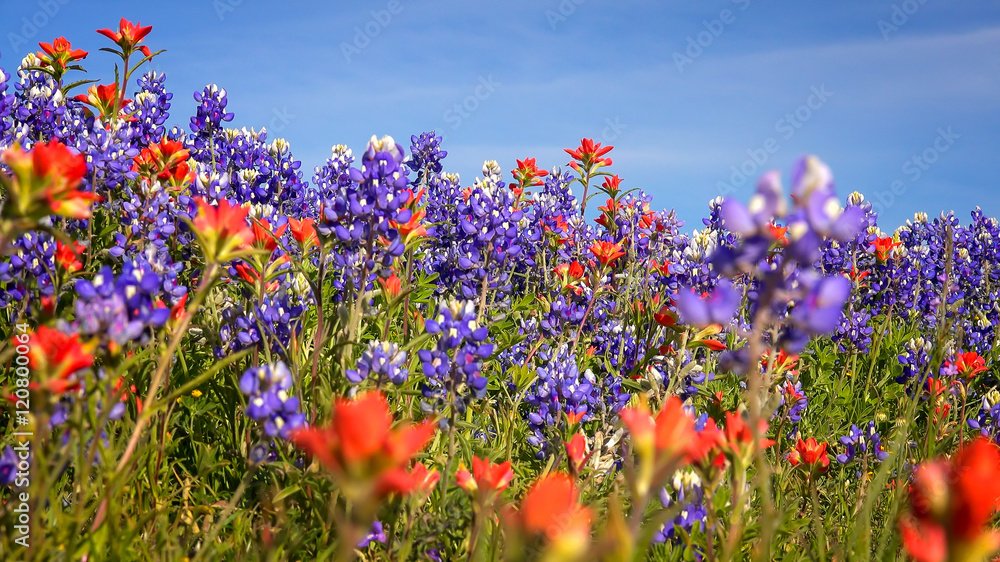 AdobeStock_120800064_Preview.jpeg