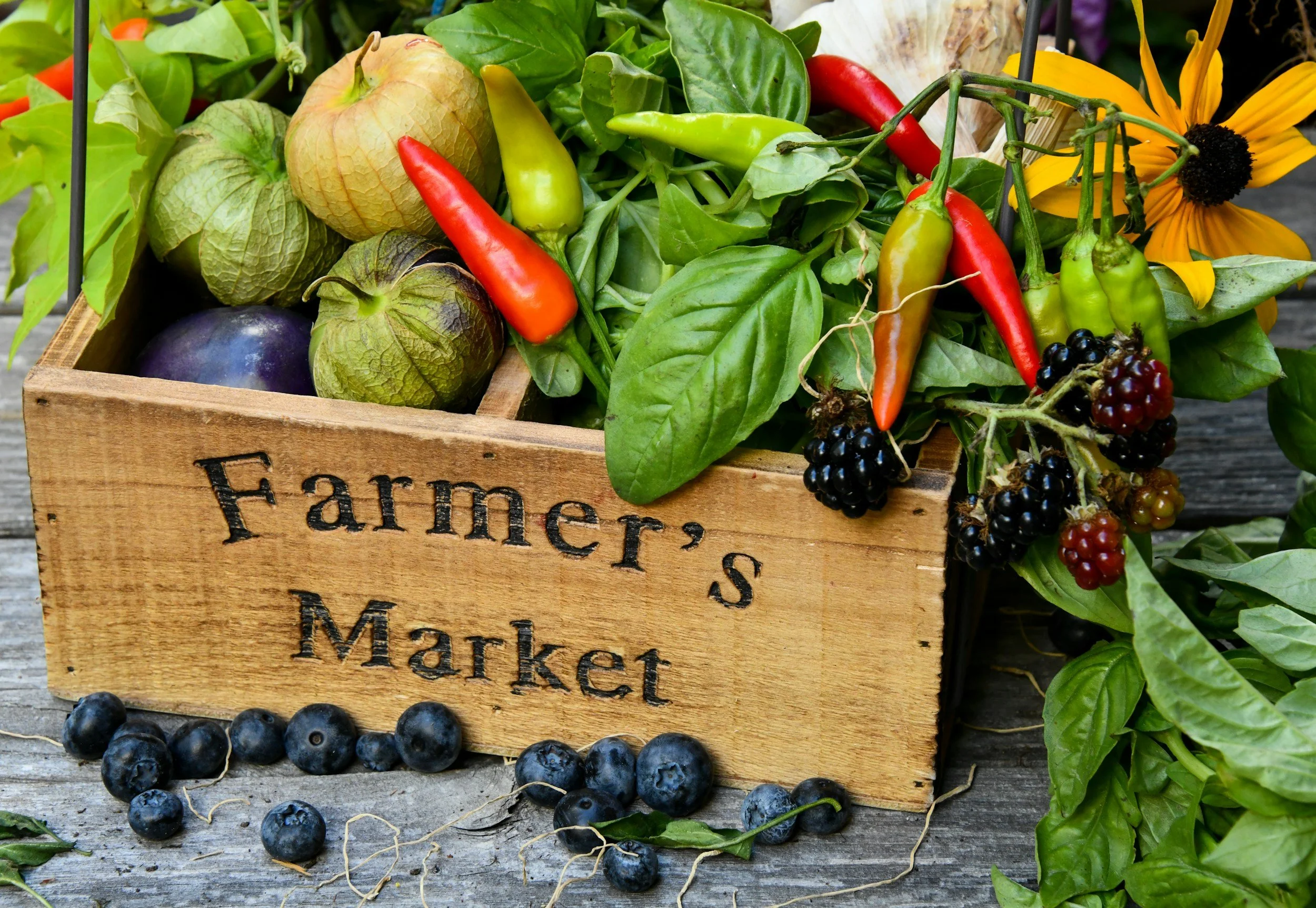 Summer Farmers Market 