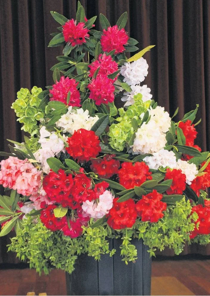 image7.jpg
