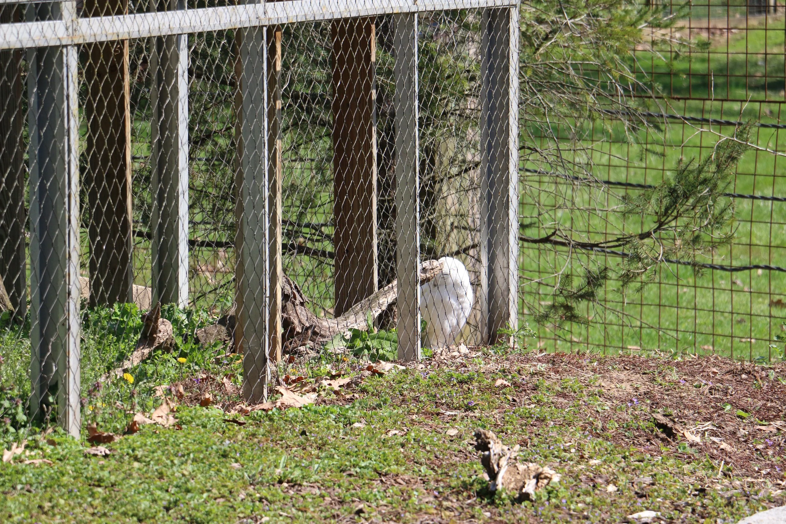 IMG_6815.JPG