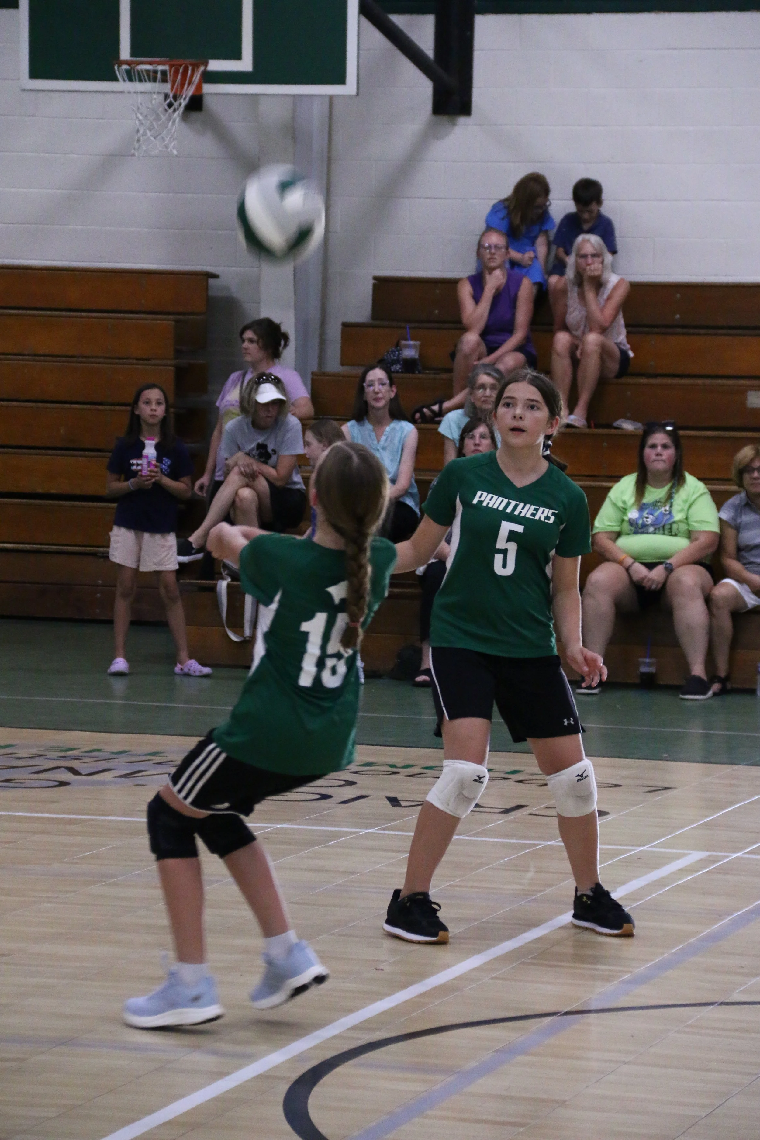 IMG_4329.JPG