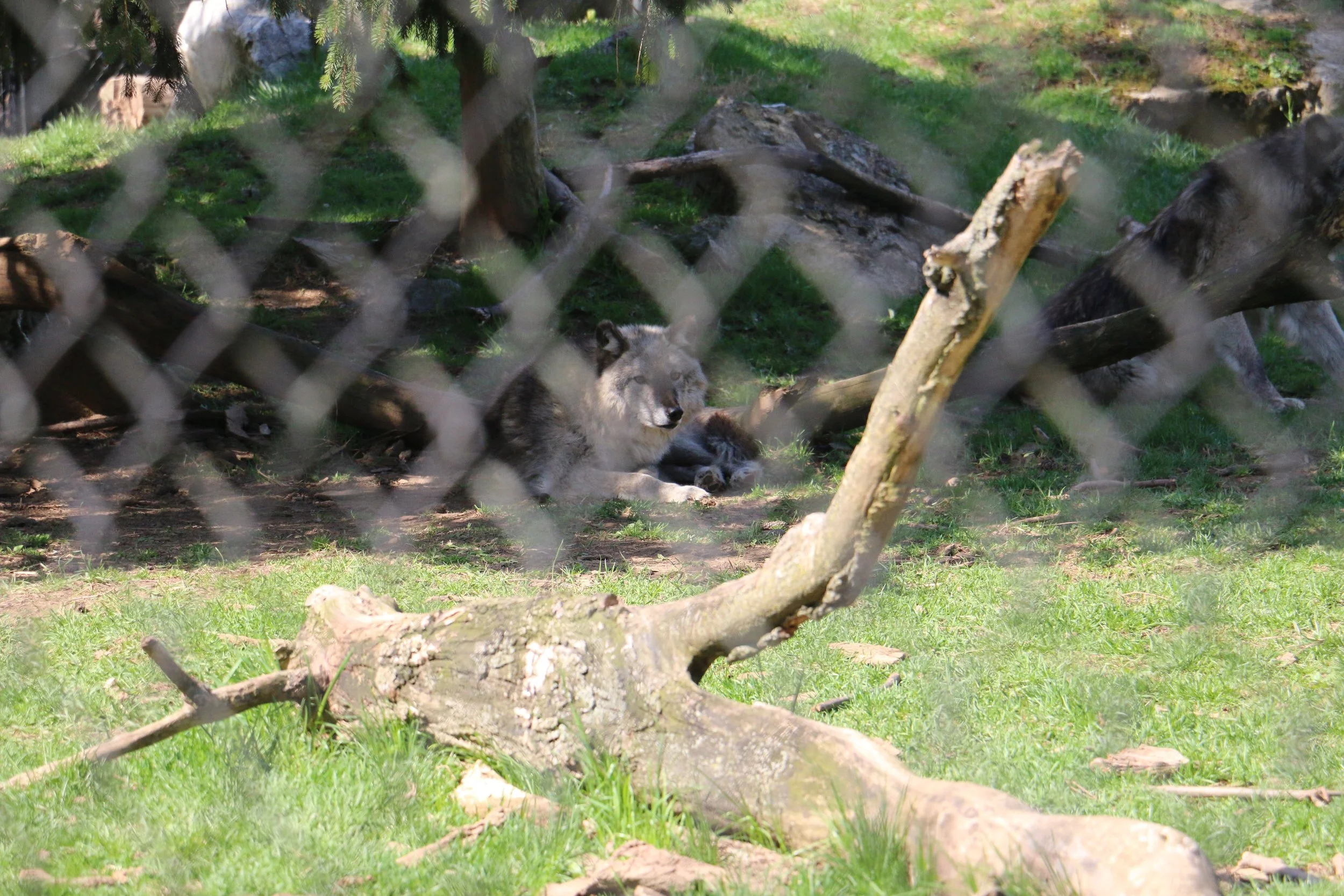 IMG_6827.JPG