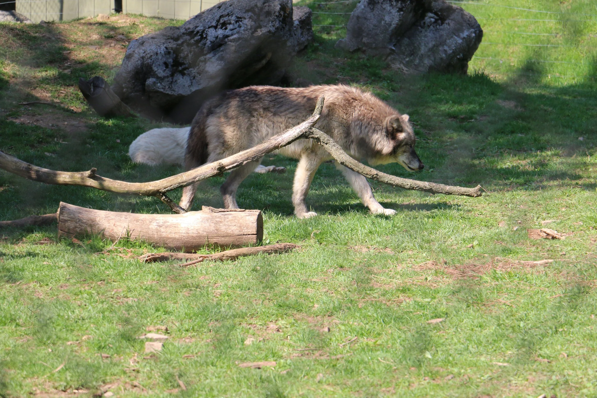IMG_6839.JPG