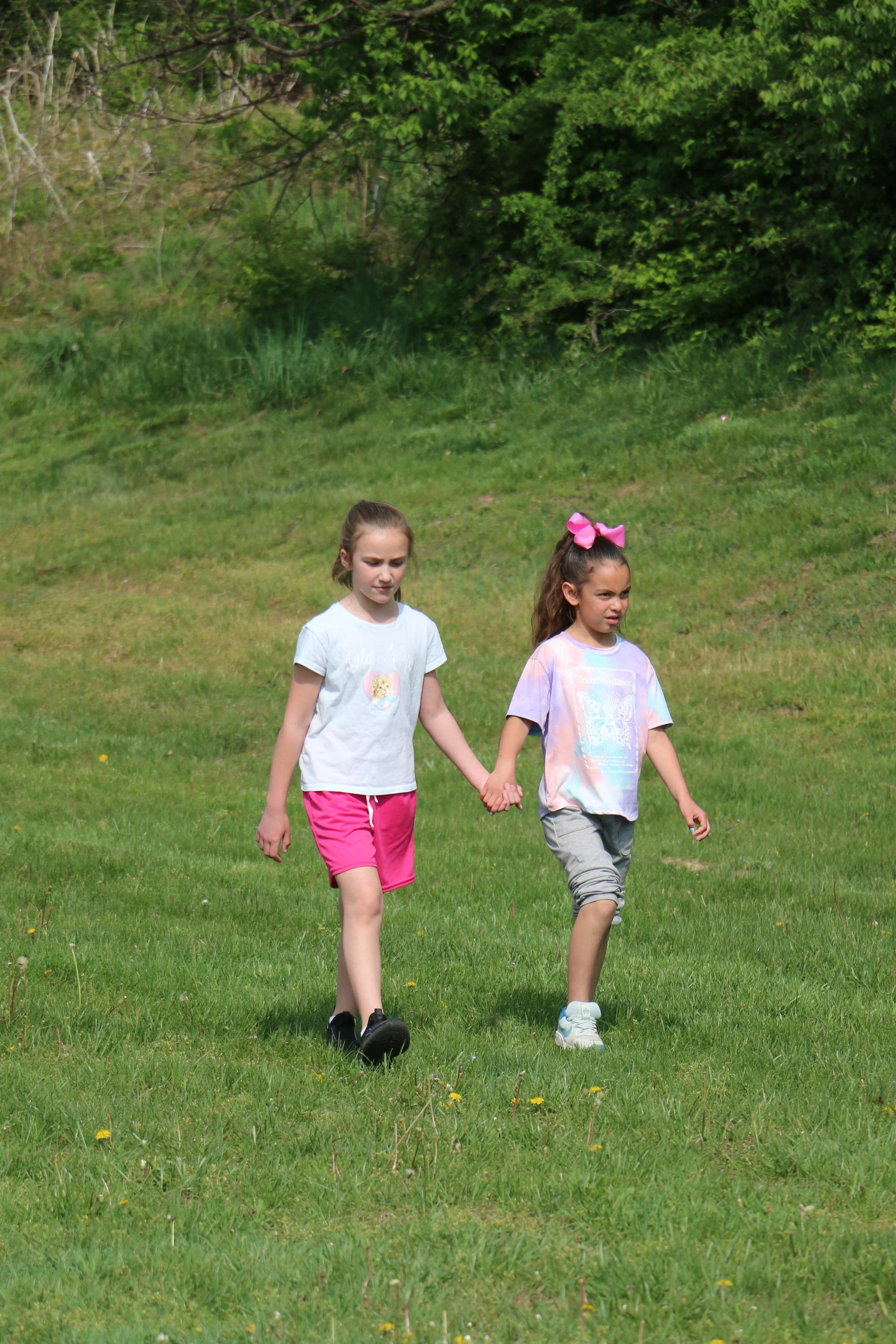 IMG_7543.JPG