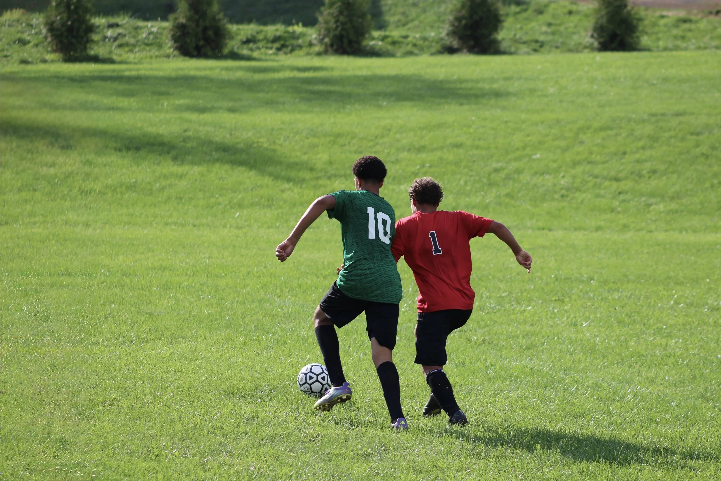 IMG_4090.jpg