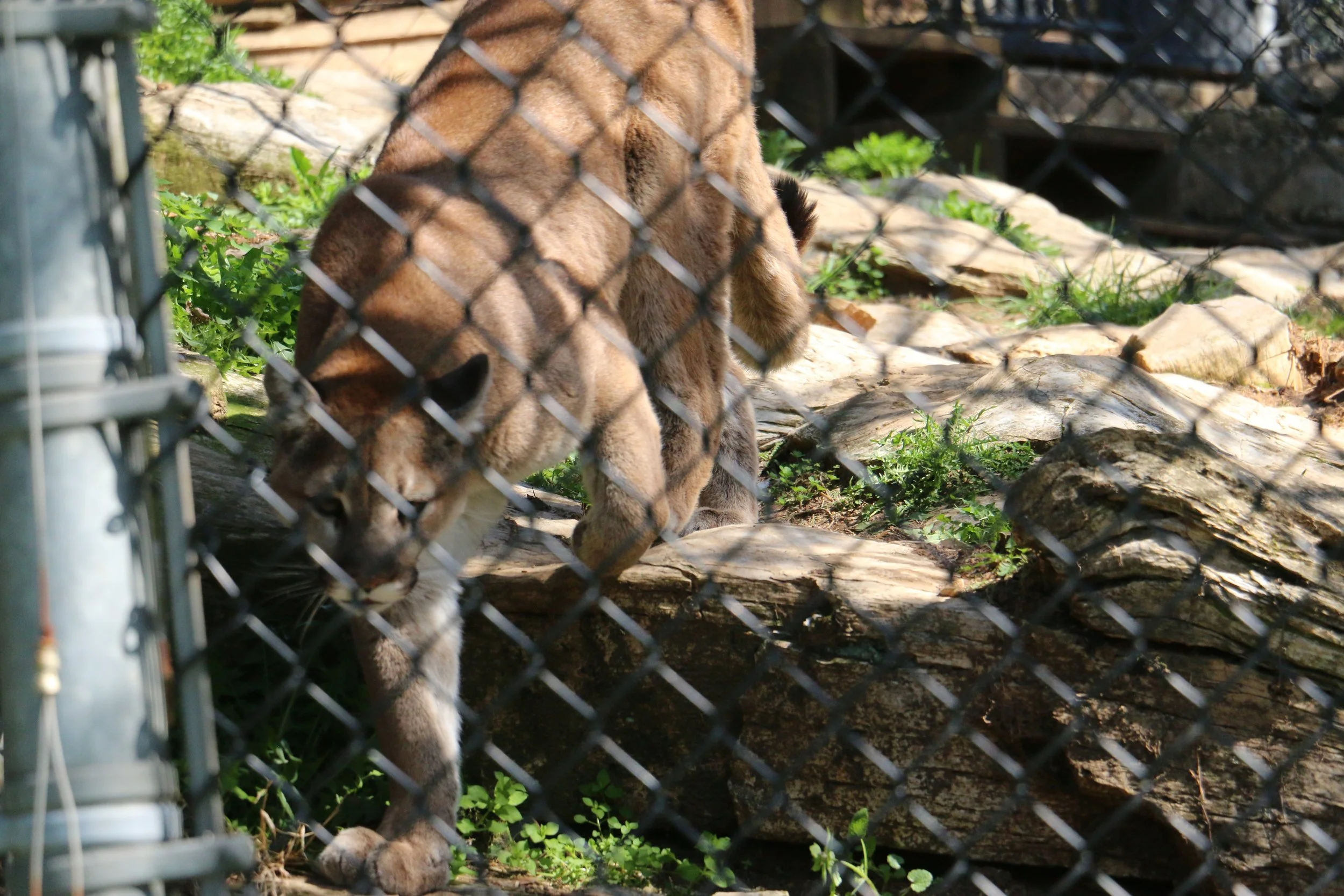 IMG_6799.JPG