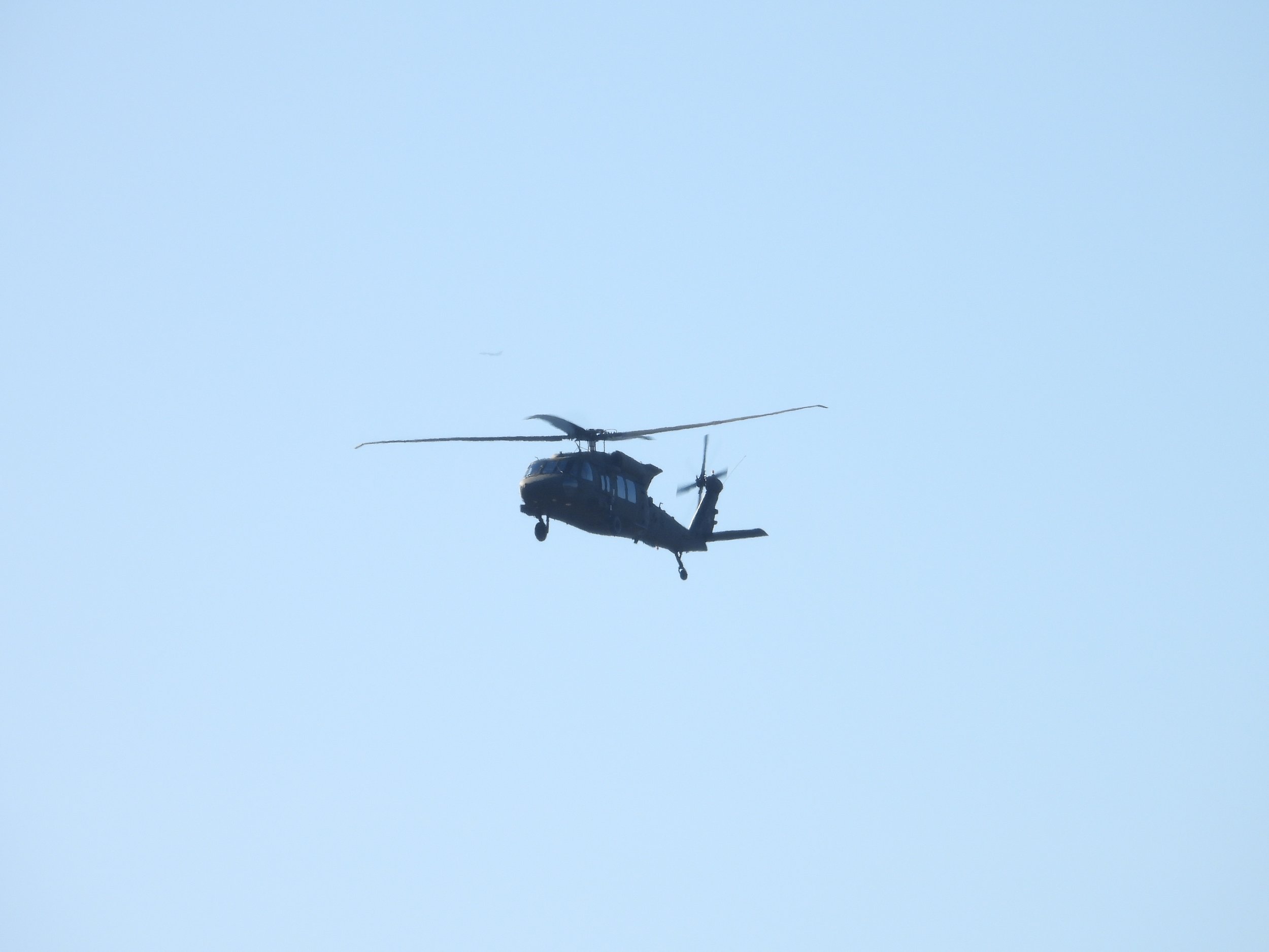 DSCN7622.JPG