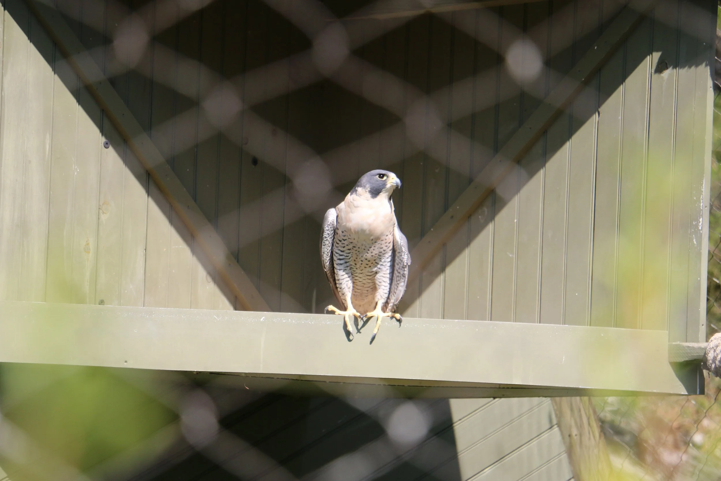 IMG_6821.JPG