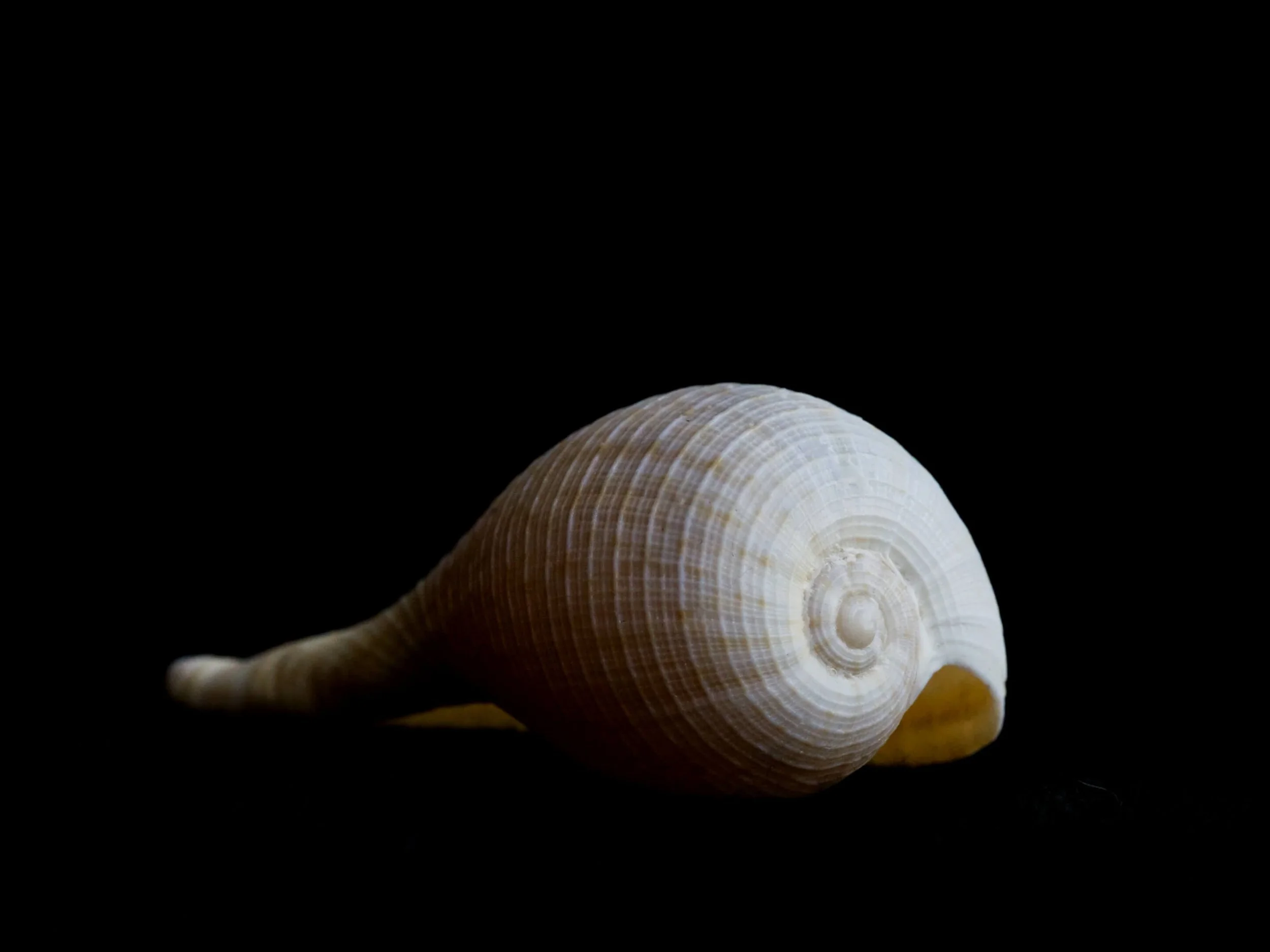 Paper Fig 3.jpg