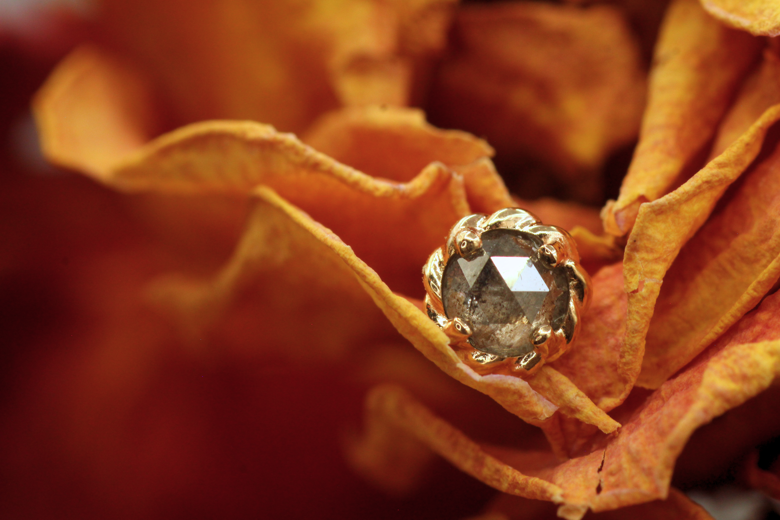 IMG_0084 - Edited.png