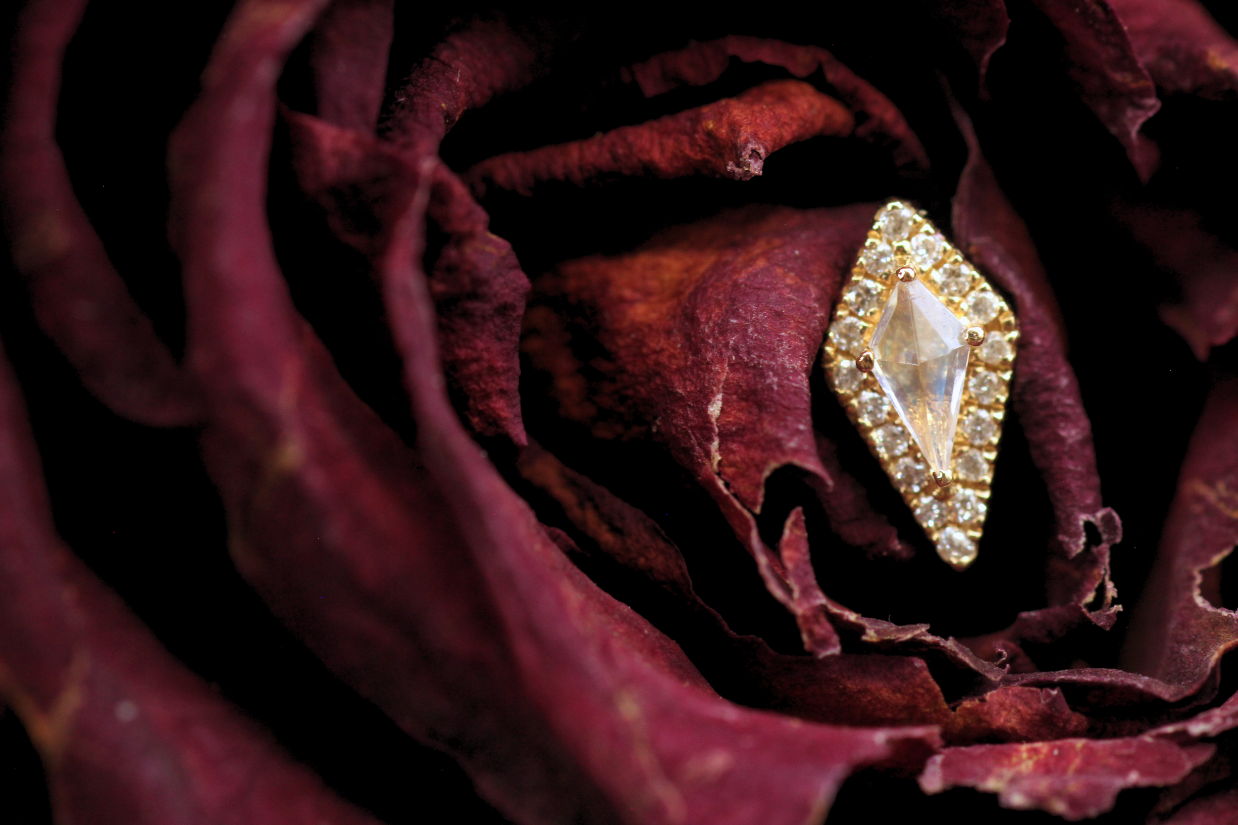 IMG_0110 - Edited.png