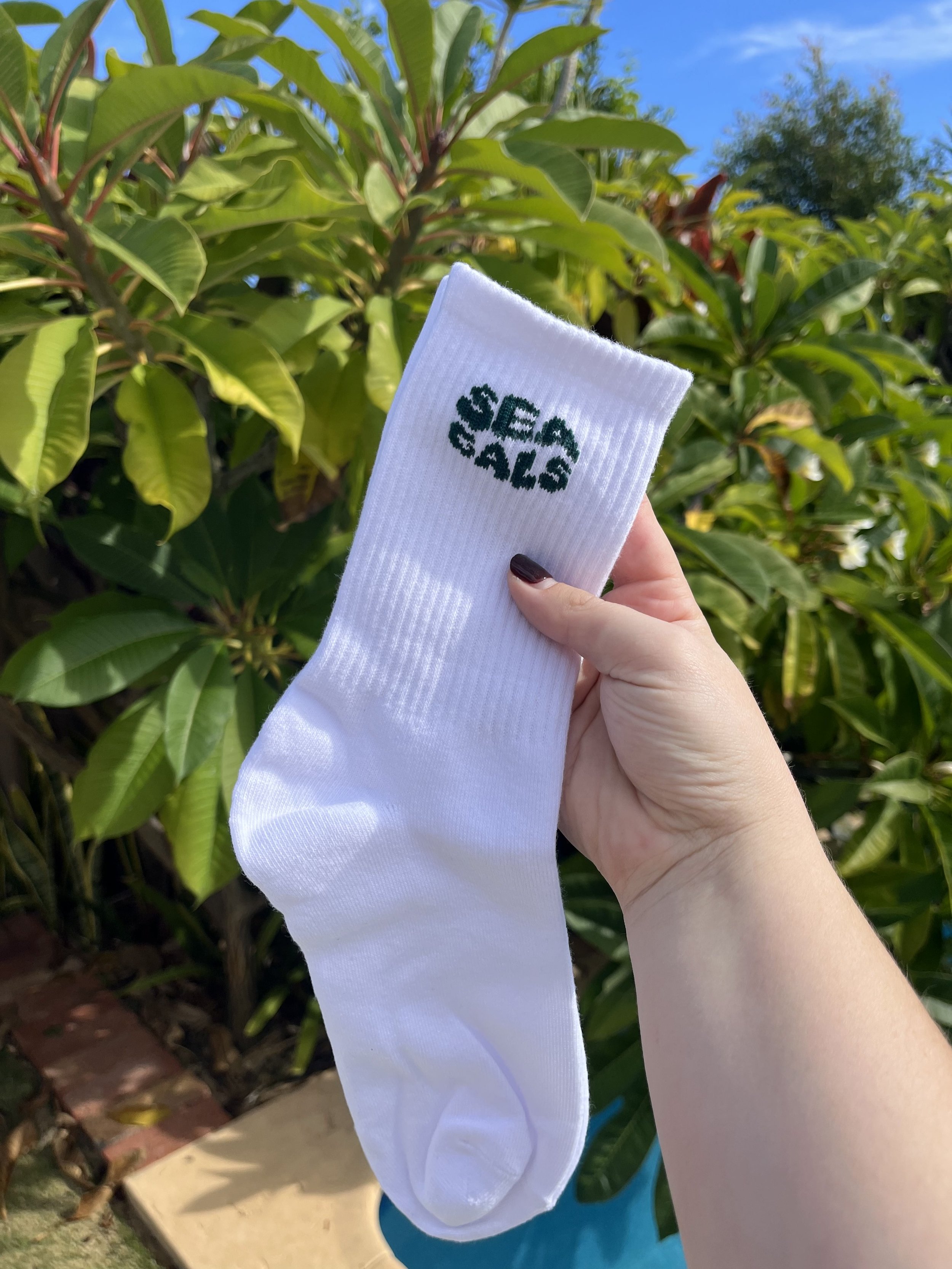Basic Crew Socks - Sea Gals White