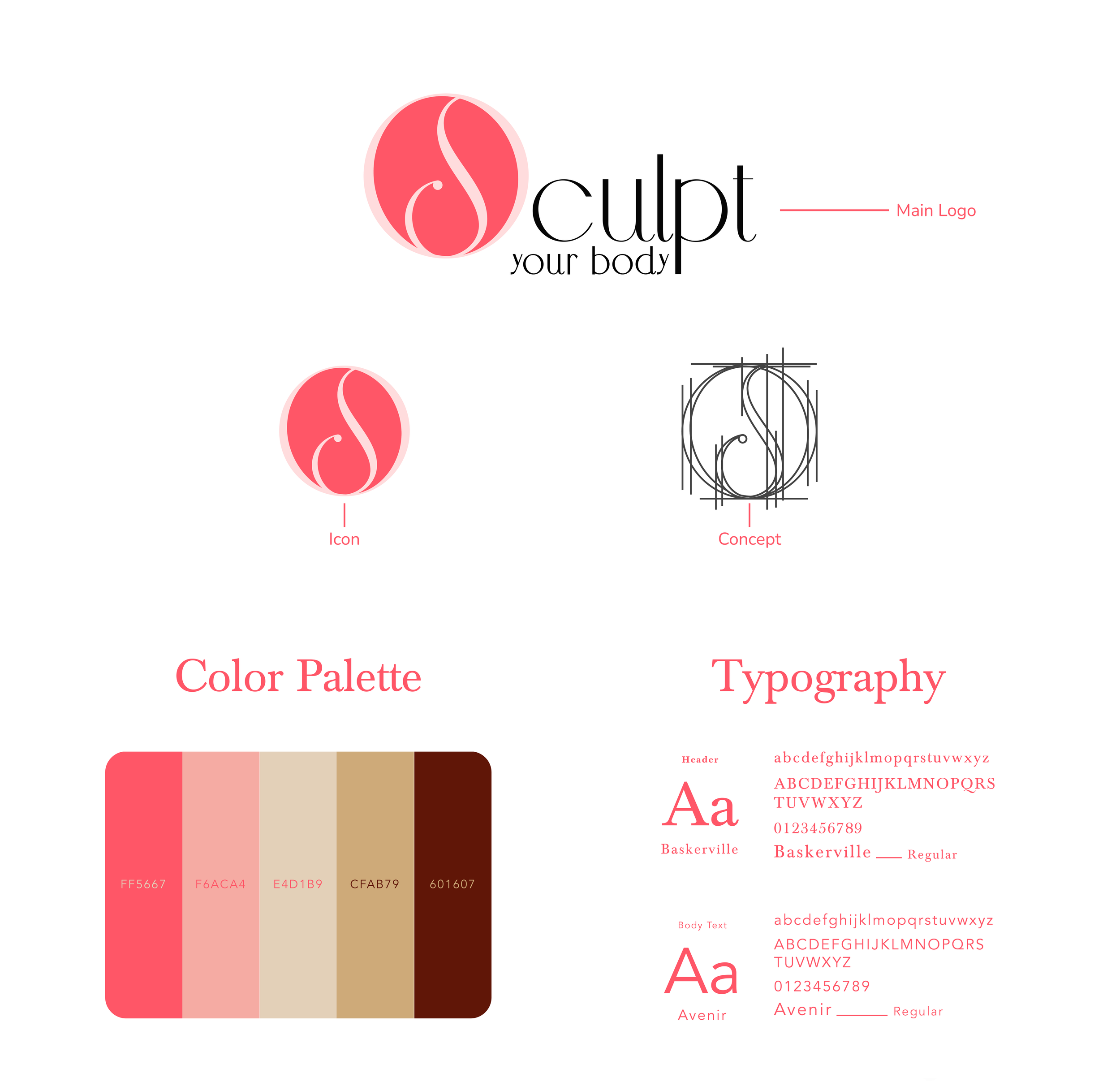 Branding board for 'Sculpt Your Body' logo with design elements, color palette, and typography samples.