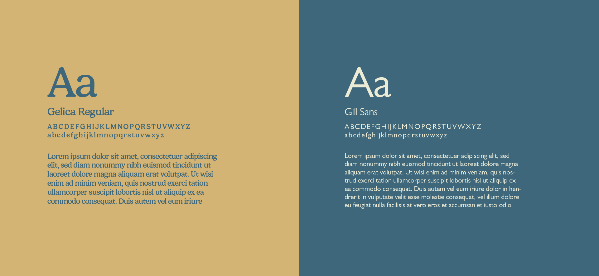 Comparison of two fonts: Gelica Regular in a beige box and Gill Sans in a blue box, each showing the alphabet in uppercase and lowercase, along with paragraph sample text.