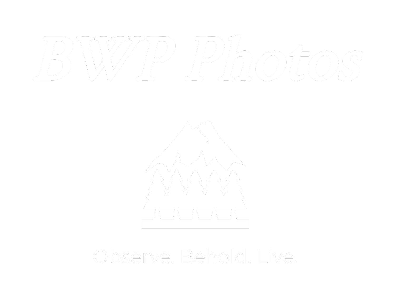 BWP Photos