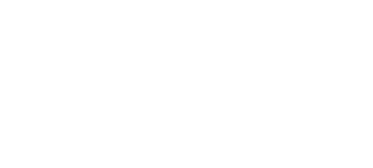 Livian Team with Keller Williams Legacy Partners