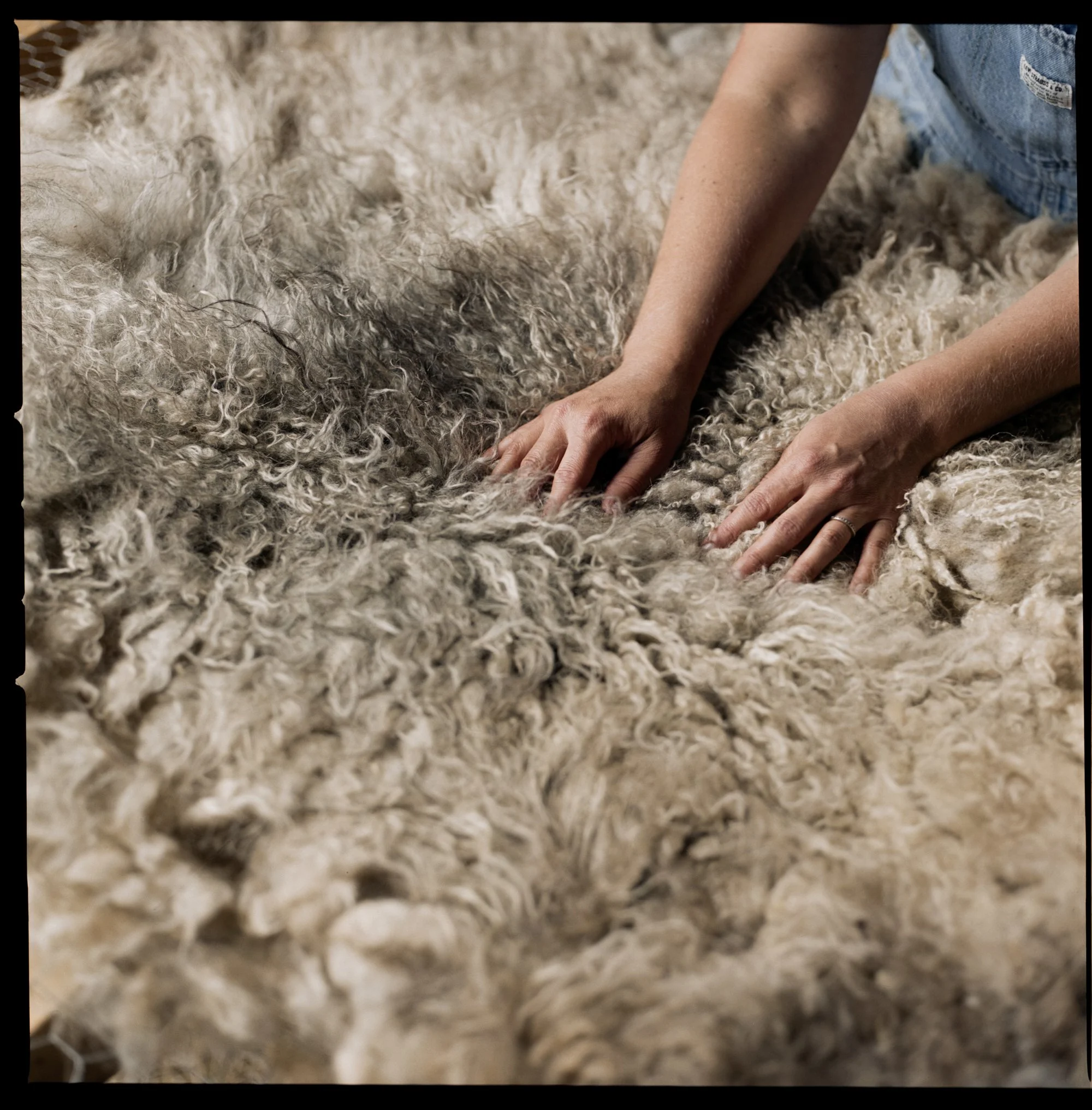 McKerrowFarms2026_Film_JG_0182_LR.jpg