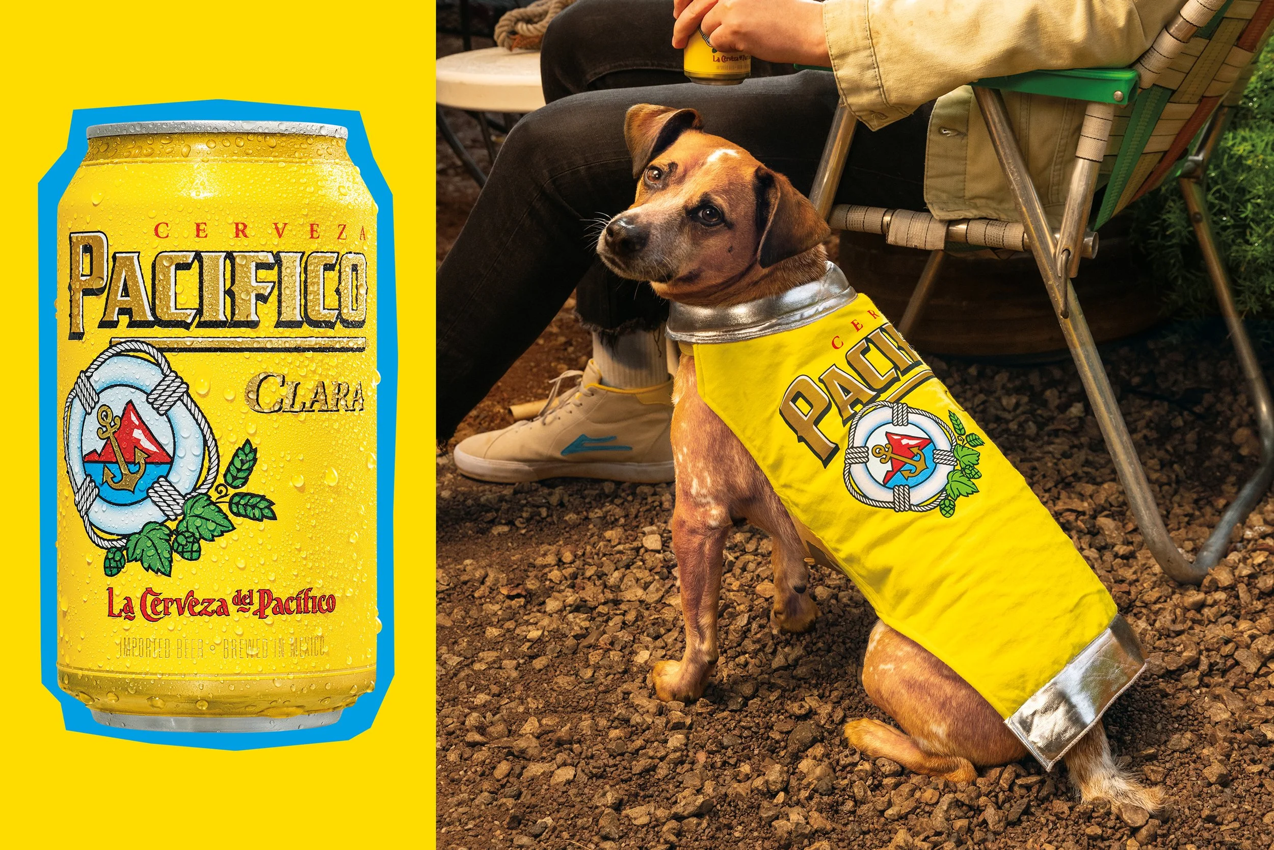 ben-pier-pacifico-Dawg.jpg